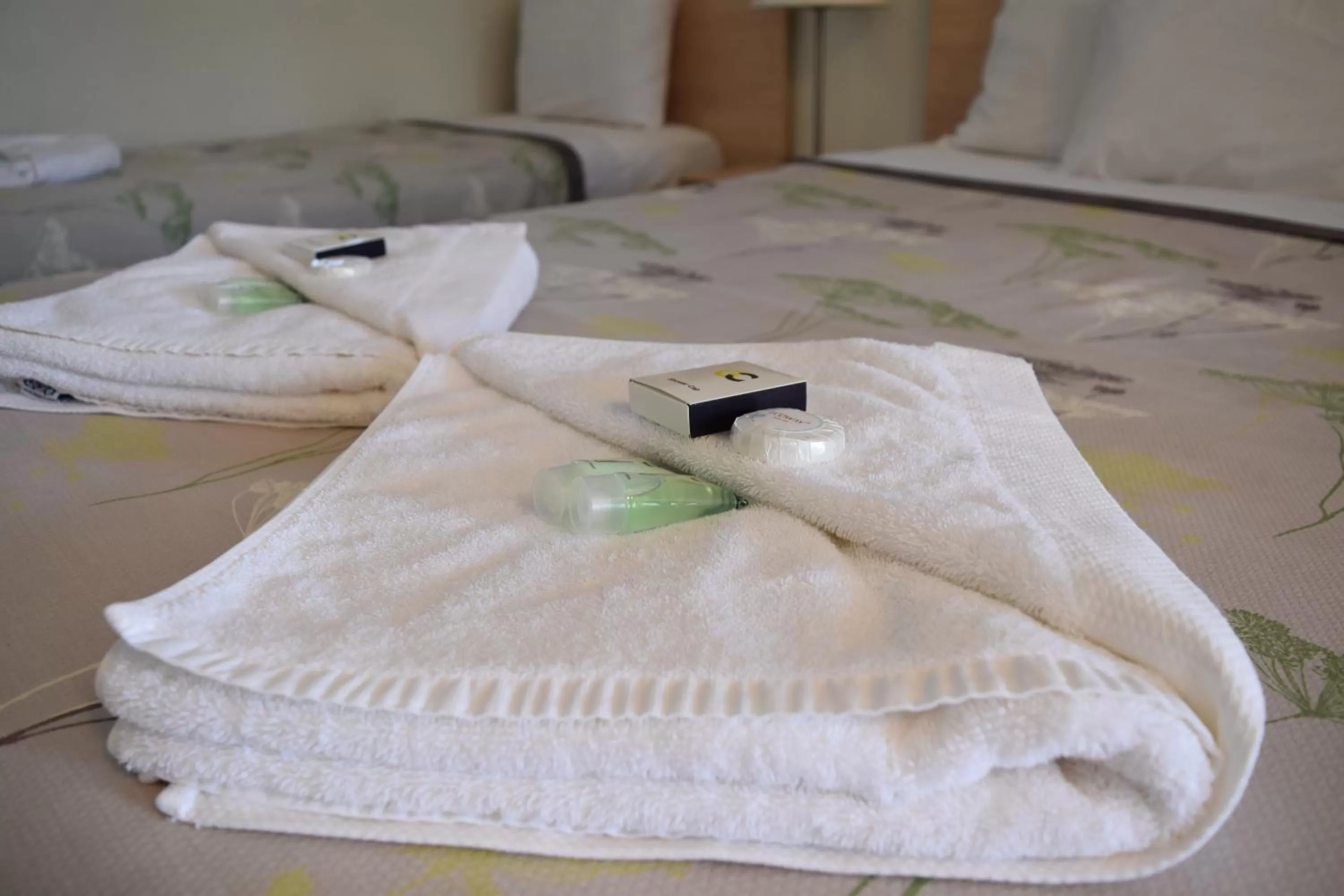 Bed in Ten Dollar Town Motel