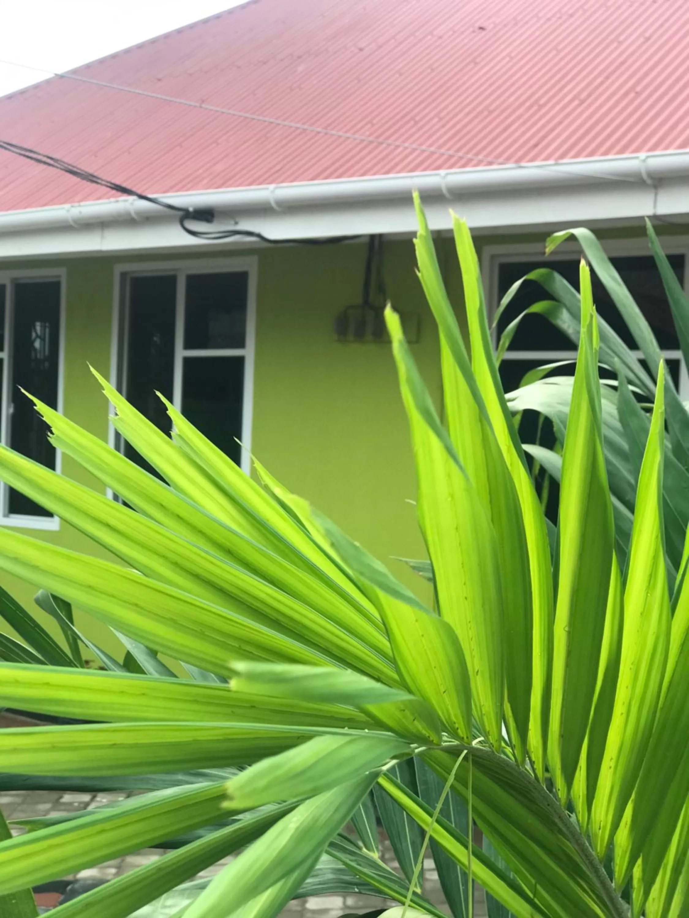 Property building in L&J Modern Backpackers Kinondoni