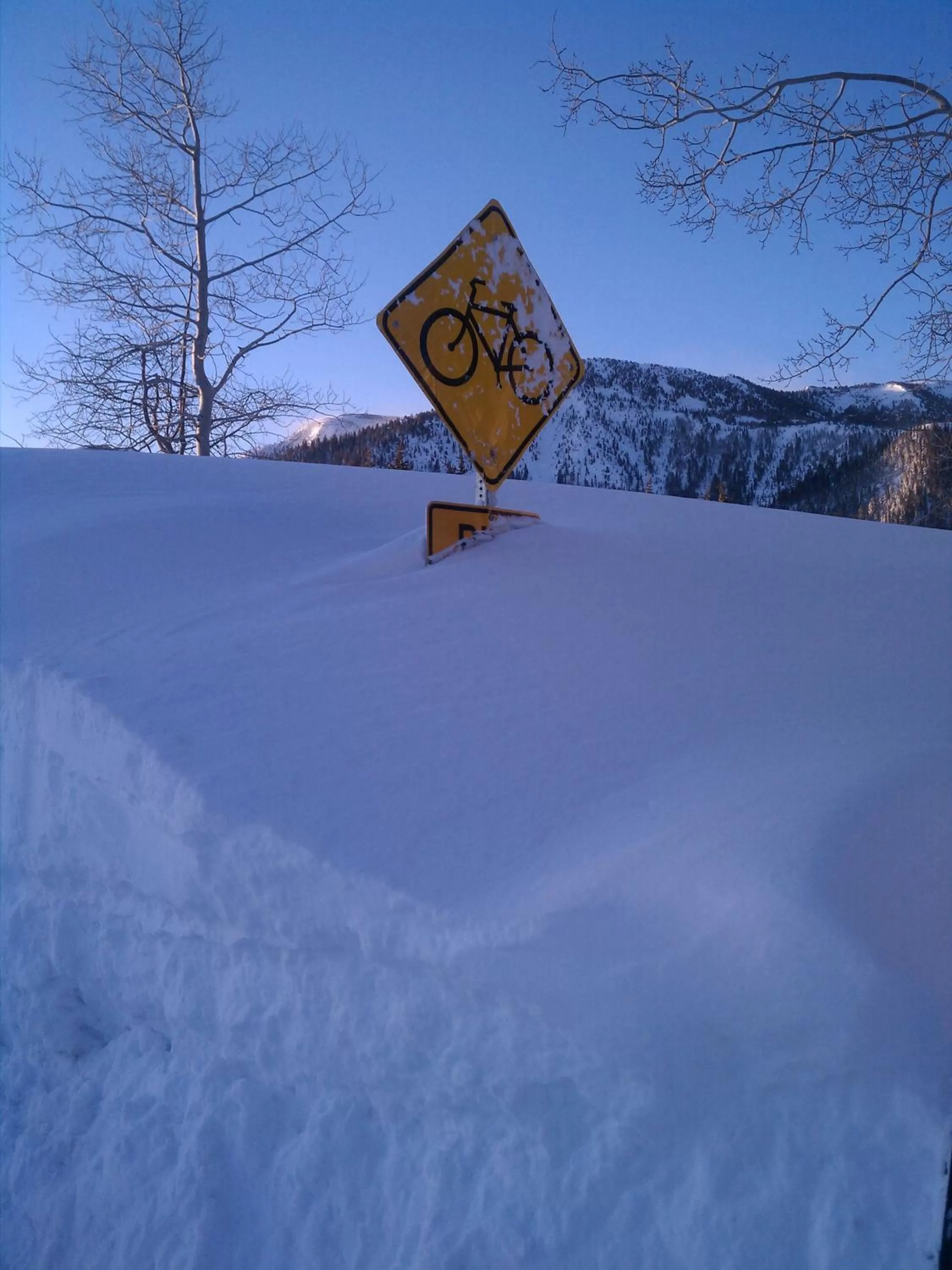 View (from property/room) in Snowcreek Resort Vacation Rentals