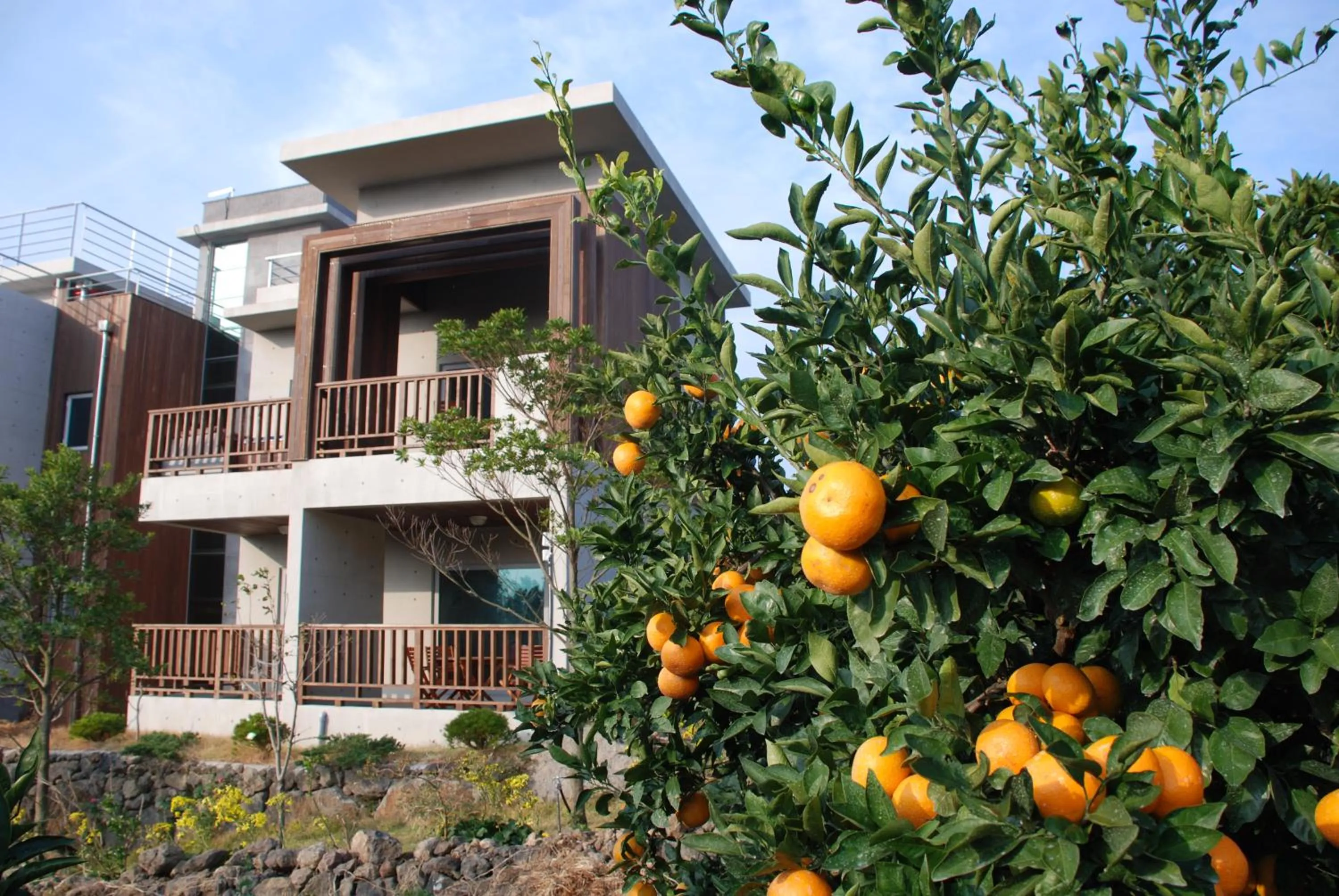 Garden in Jeju Eco Suites