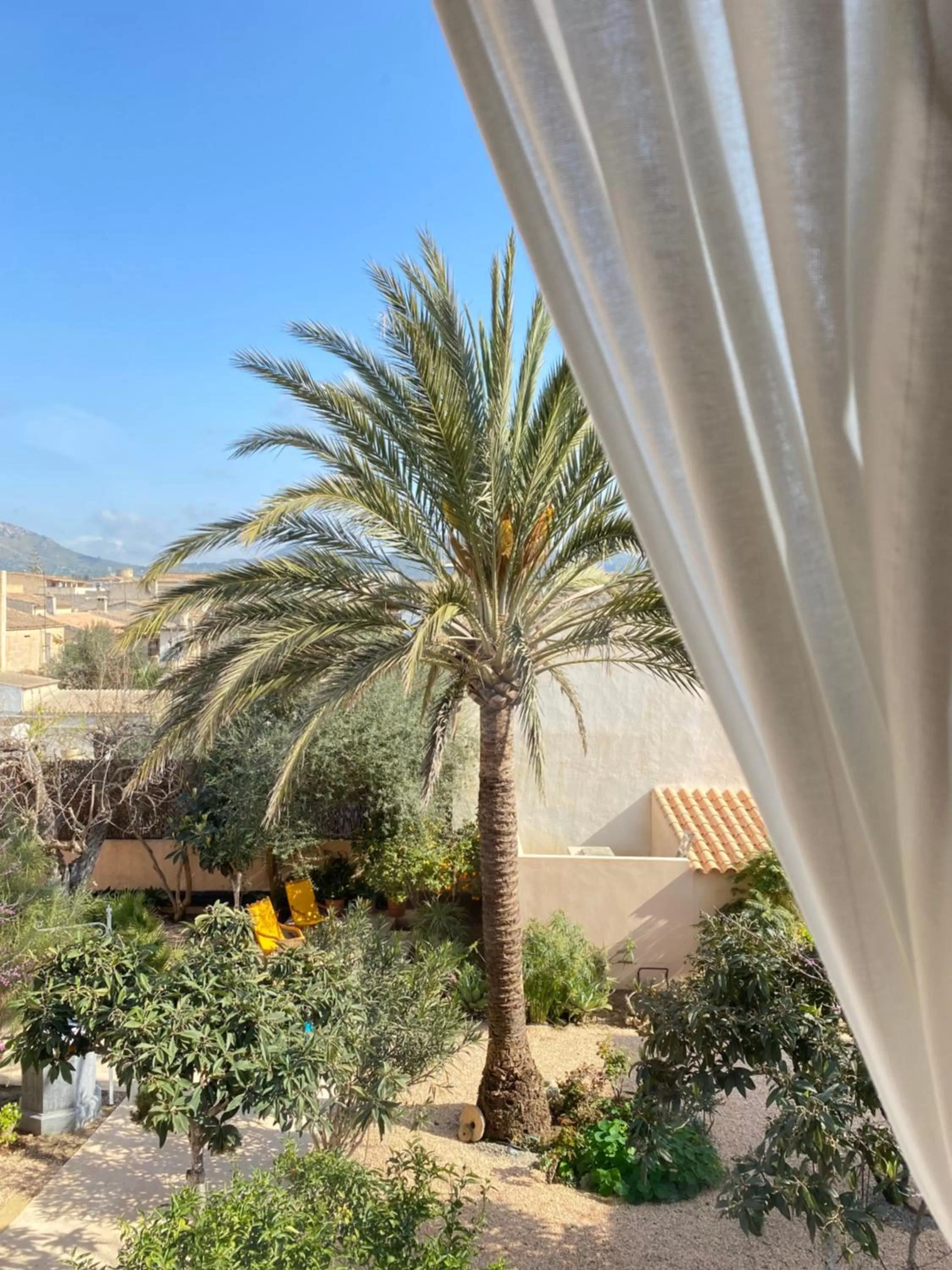 Garden in Hotel Boutique Can Pocovi