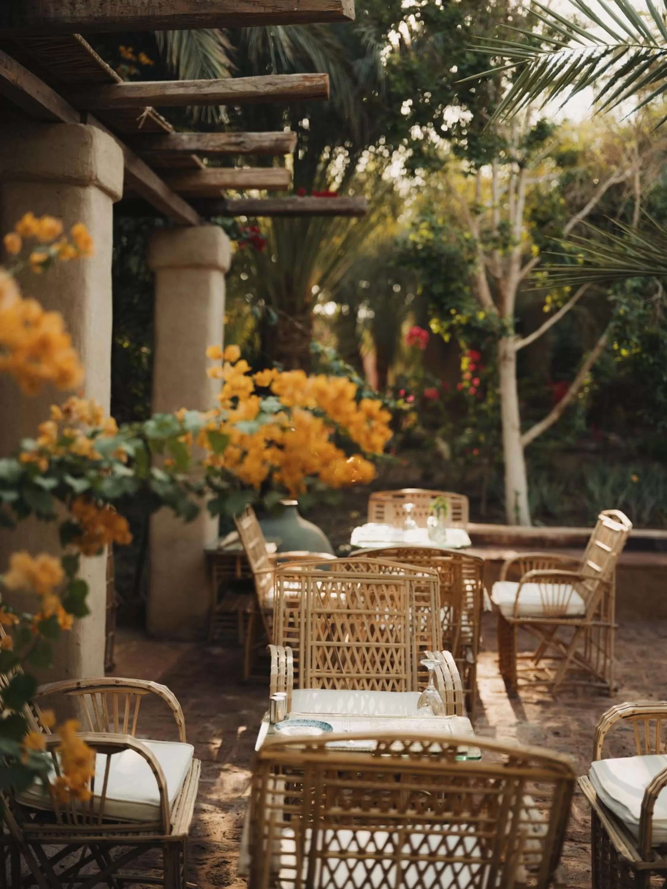 Restaurant/places to eat in Al Moudira Hotel