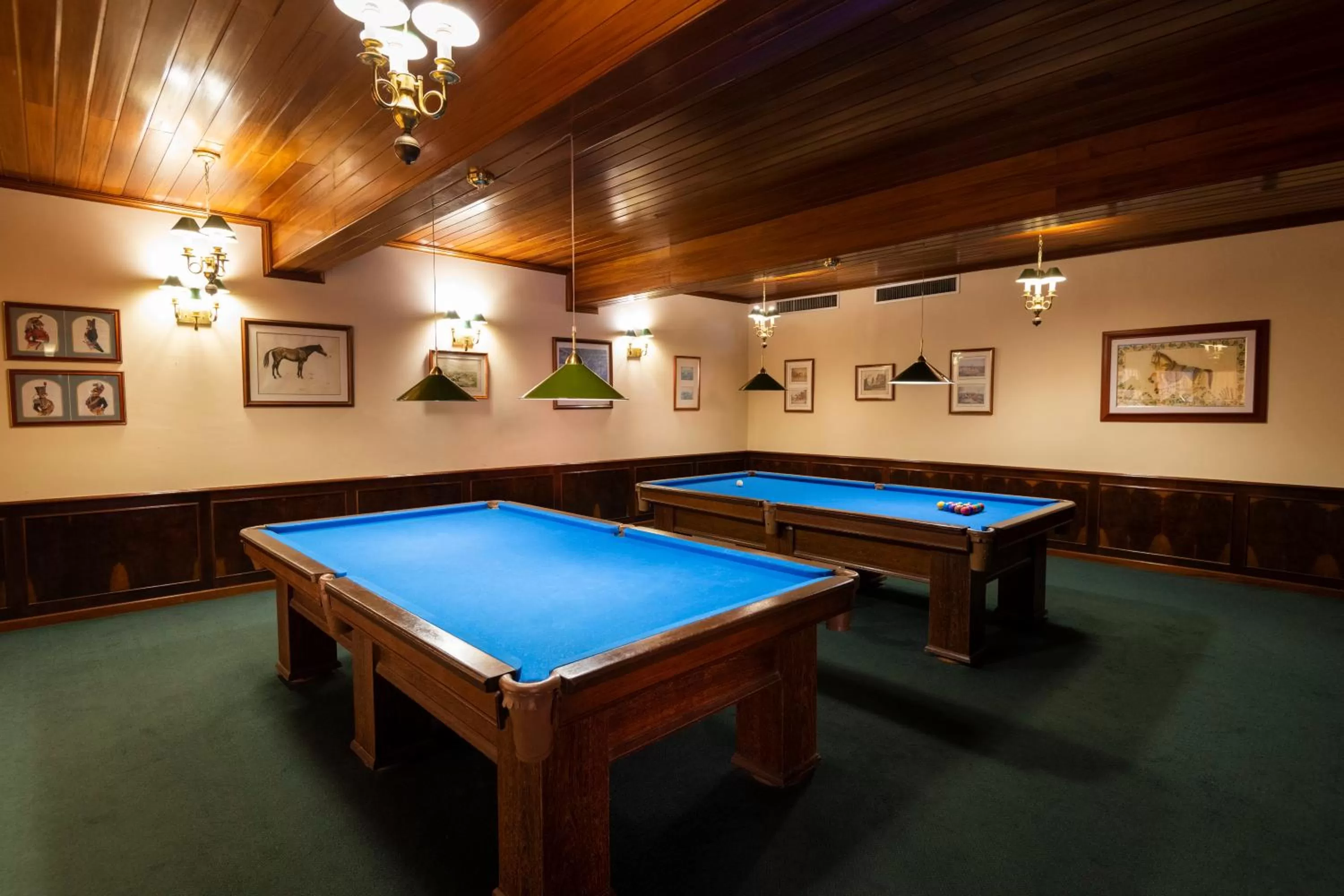 Billiard in Hotel Villa Rossa