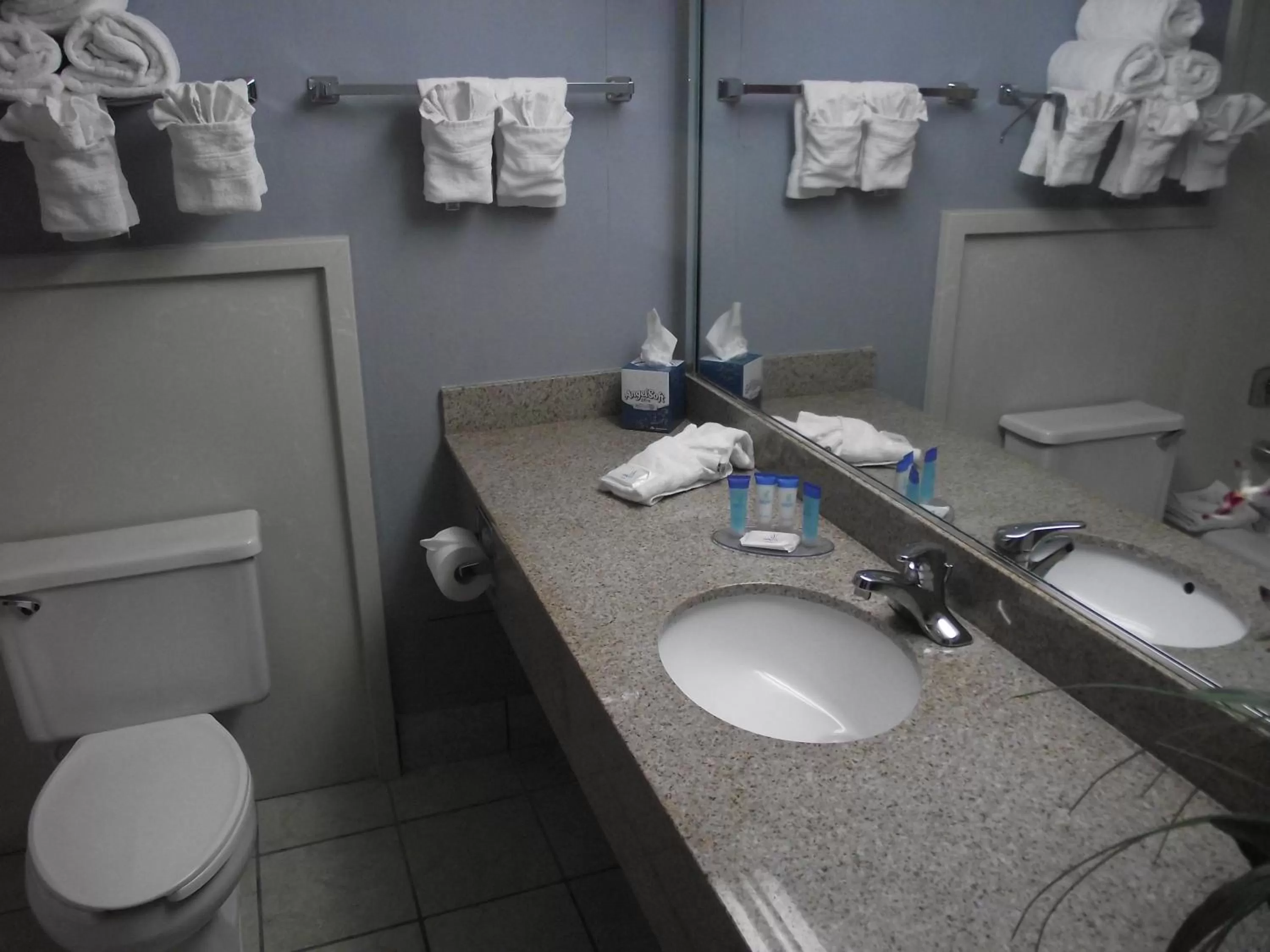 Bathroom in Travelodge by Wyndham Memphis Airport/Graceland