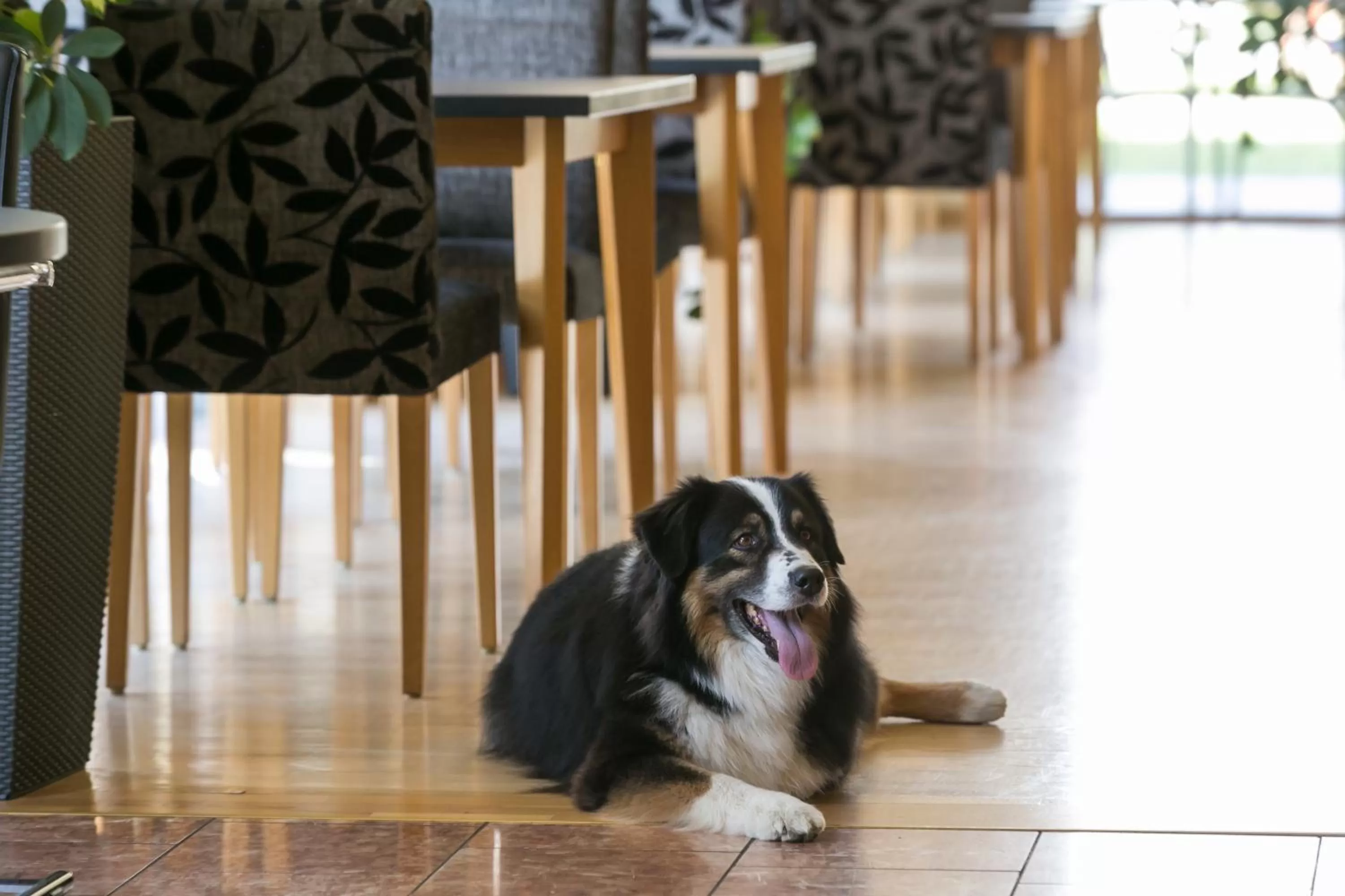 On site in Club Hotel am Kreischberg