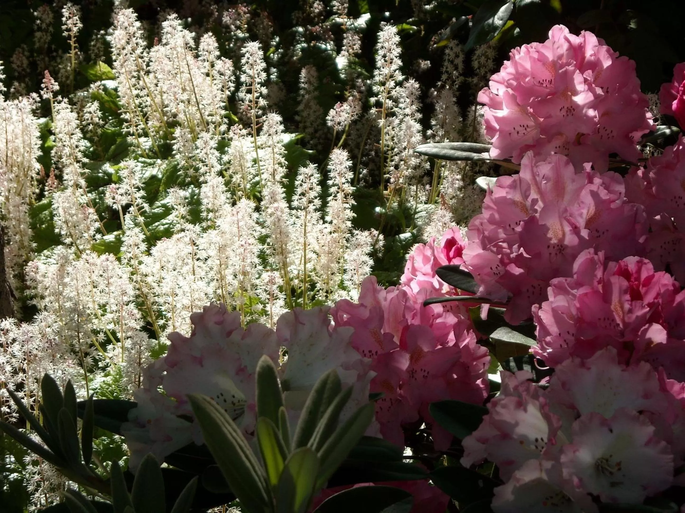 On site in City Centre Motel