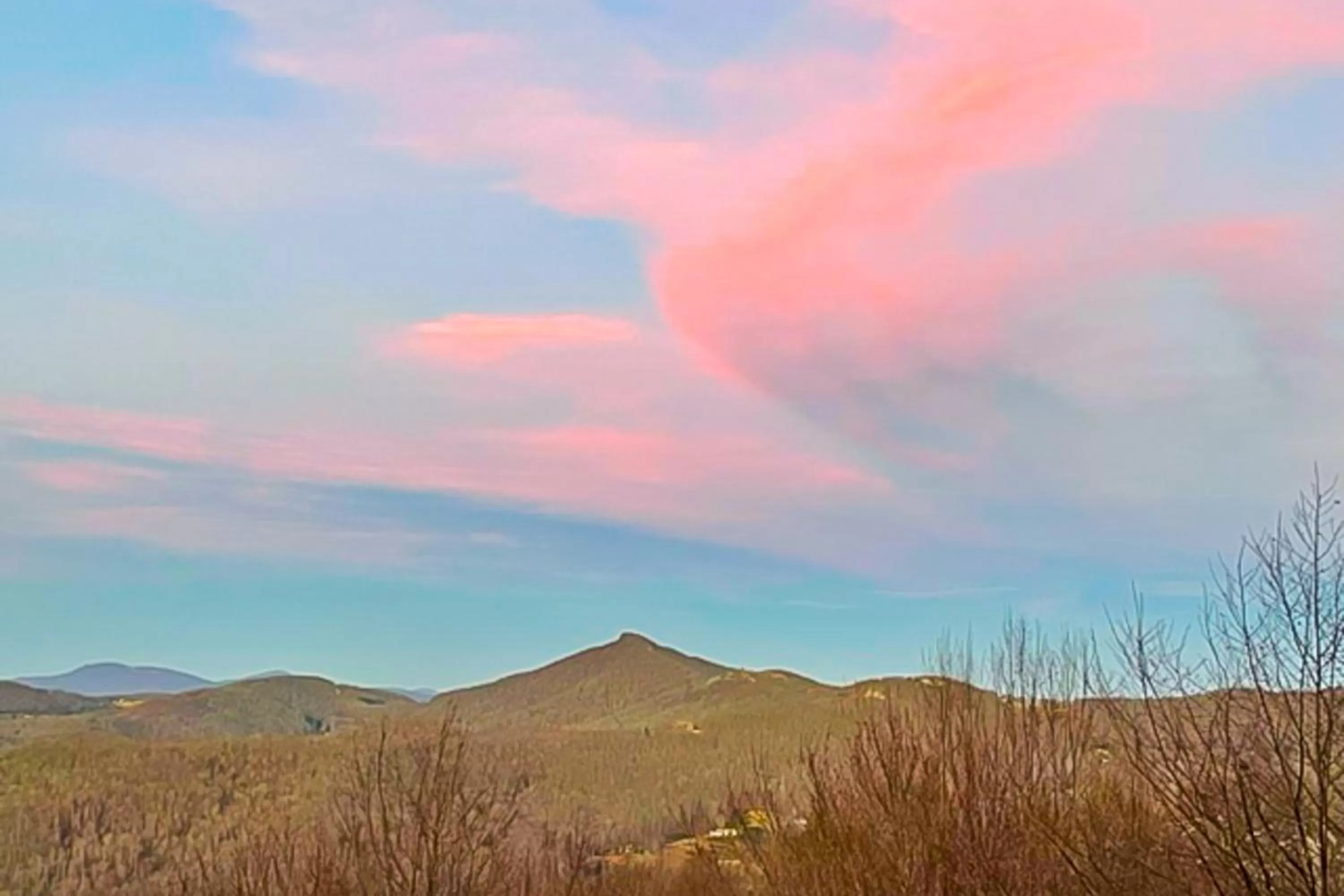 Mountain View in Skyleaf 703