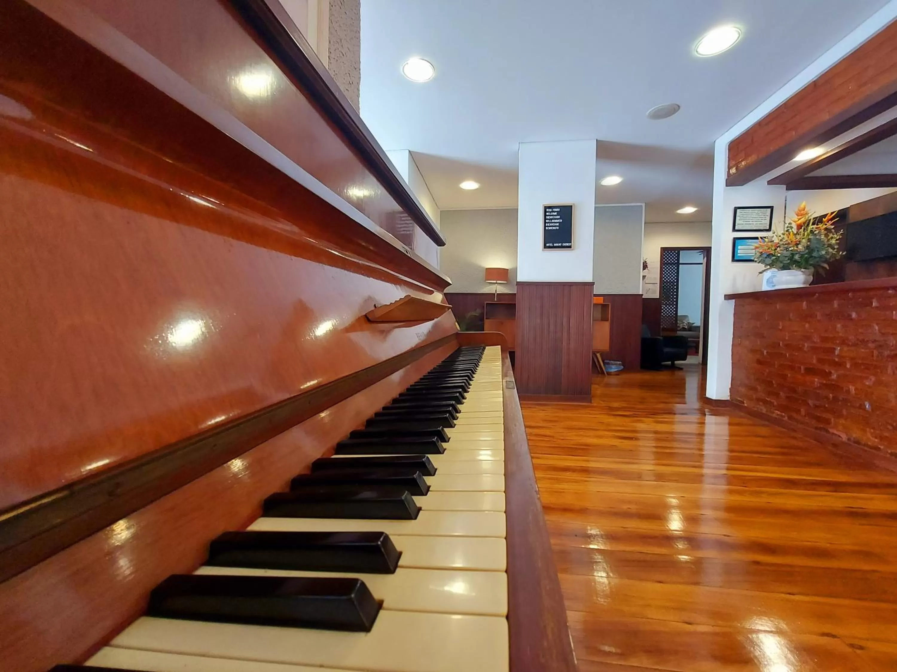 Communal lounge/ TV room in Hotel Mount Everest