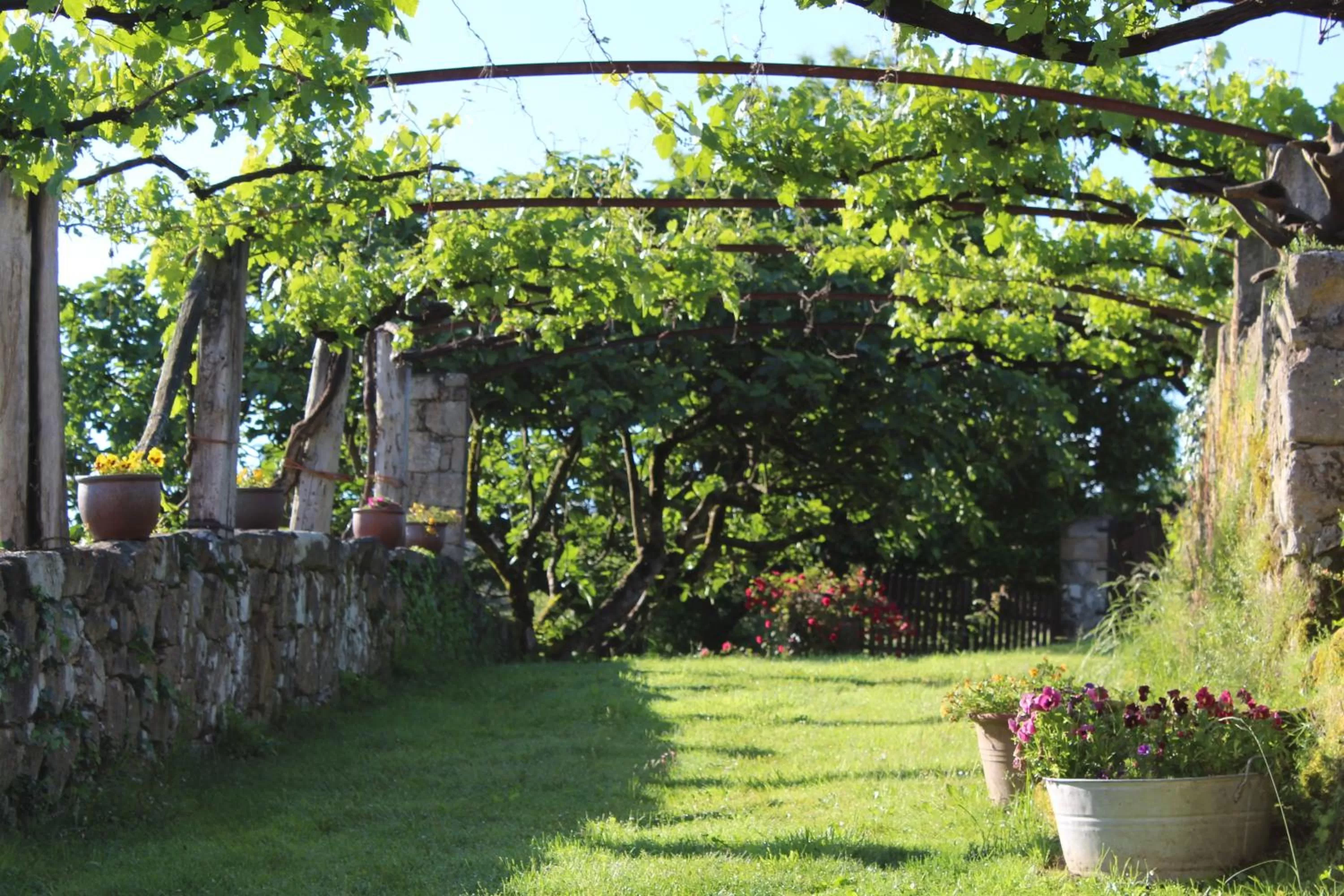 Garden in Rectoral de Anllo
