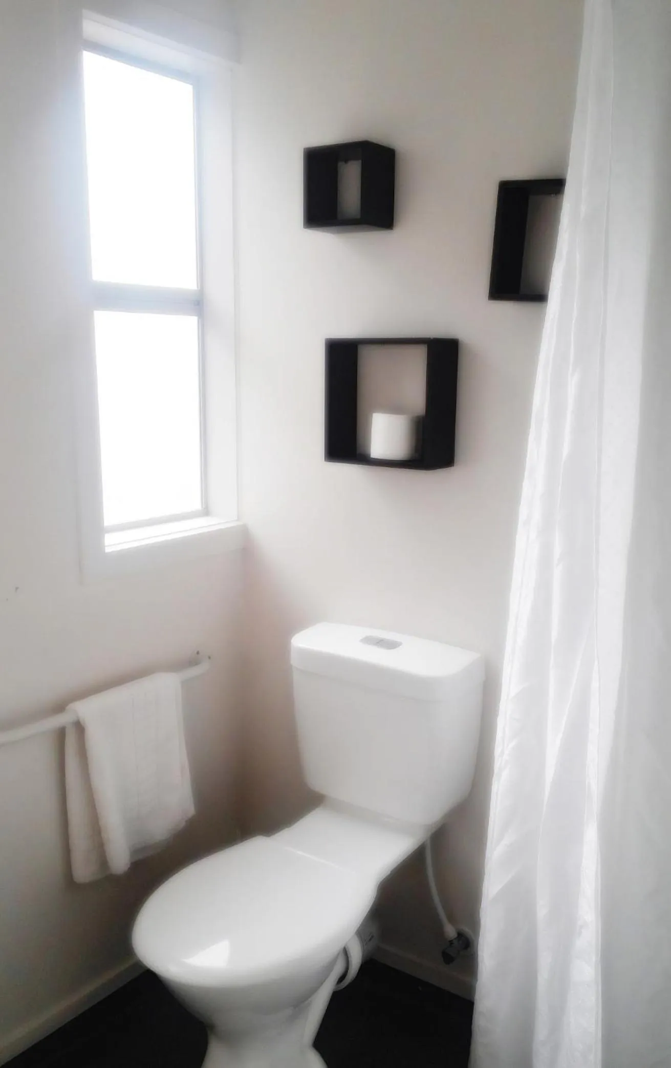 Toilet in Backpackers Central Hamilton