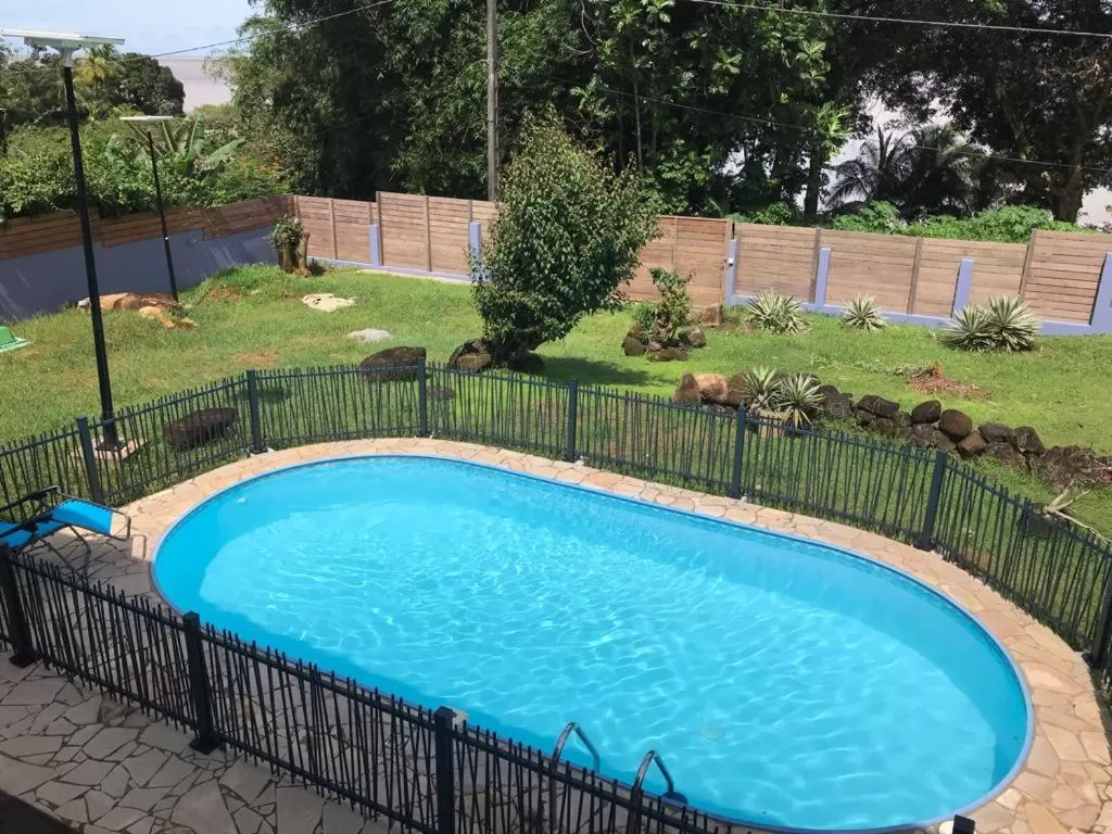 Garden in Shikoa Sobole - Le Morpho et l'Ara