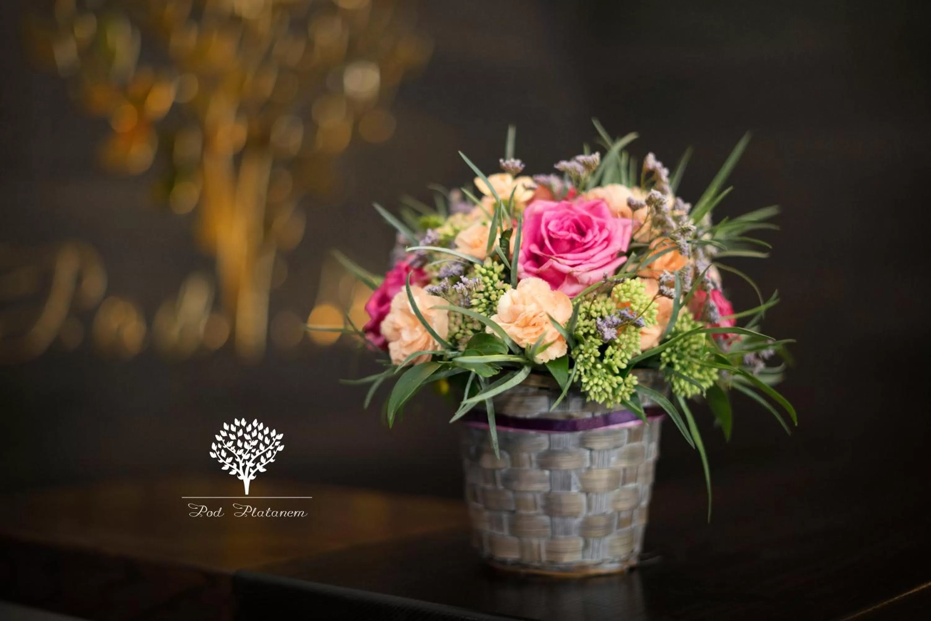 Pod Platanem Gliwice