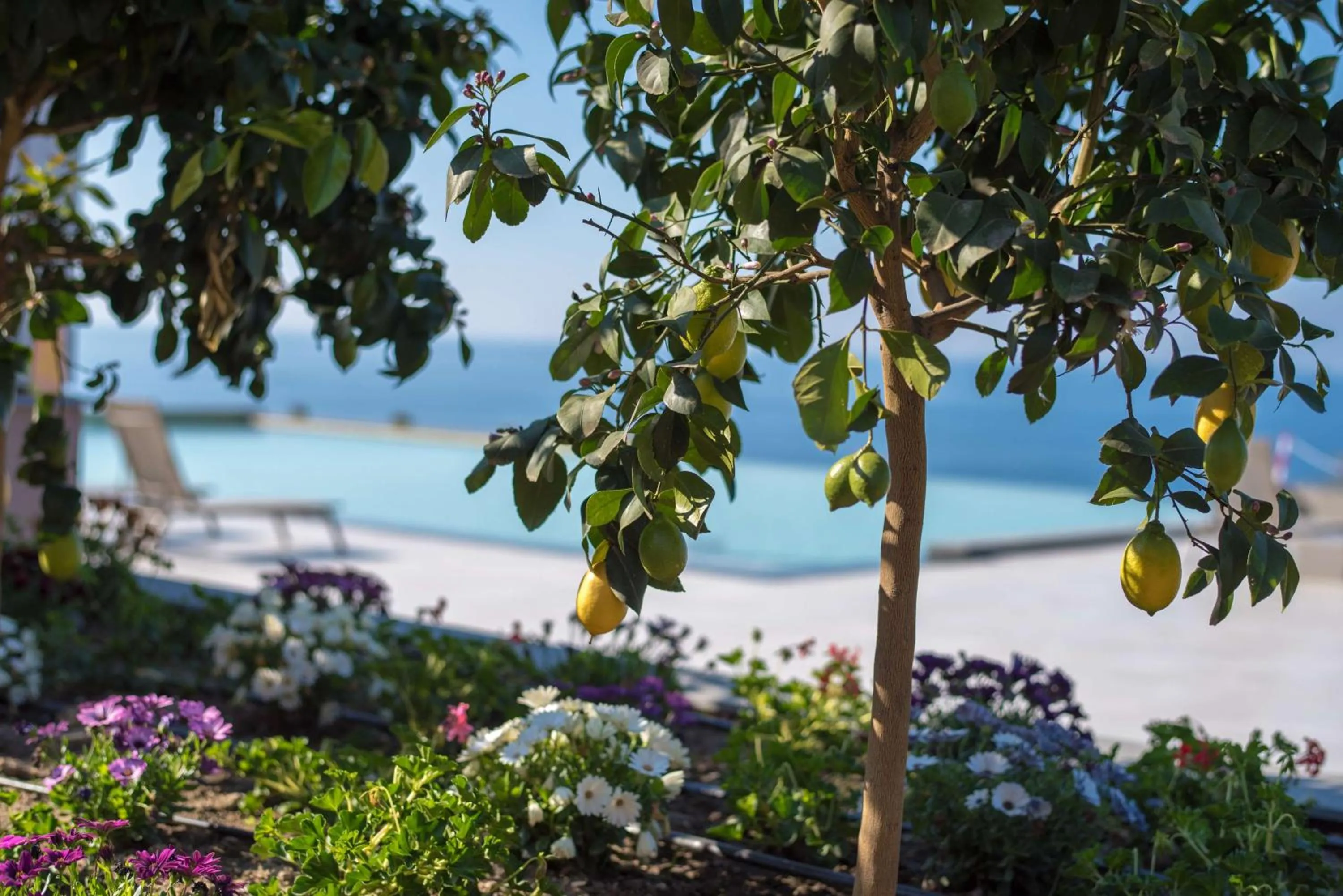 Property building in Best Western Plus Hotel Terre di Eolo