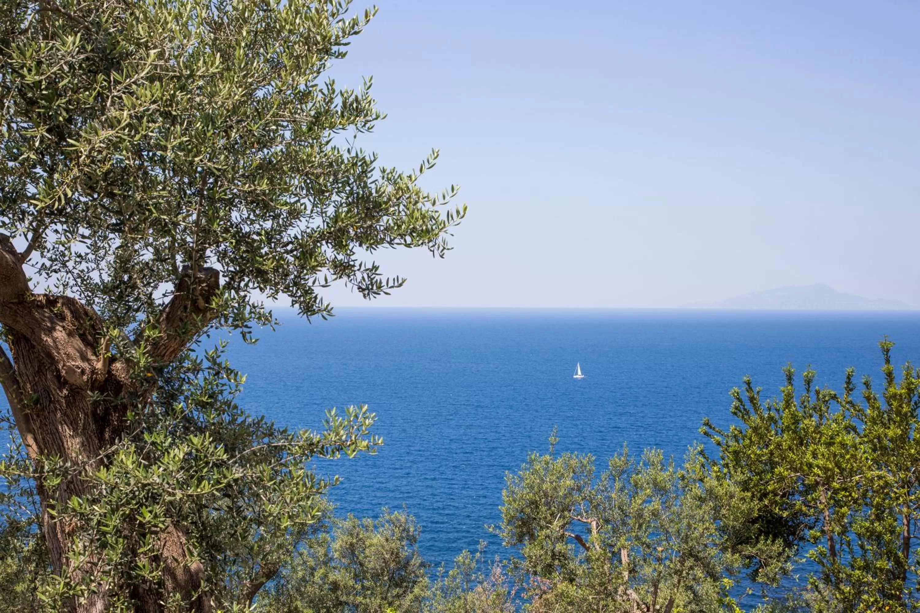 Day in Villa Fiorella Art Hotel