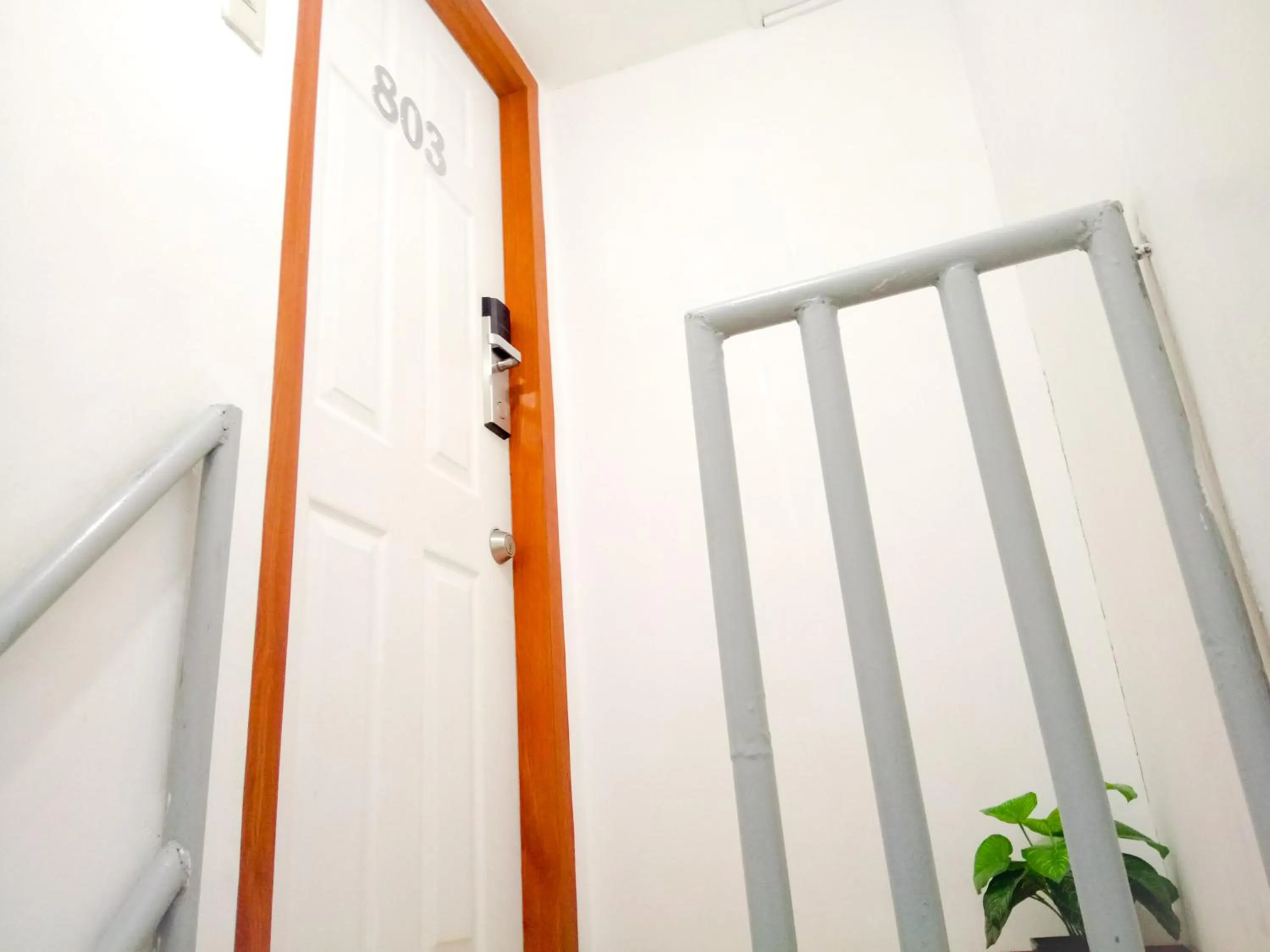 Decorative detail in 8Hostel