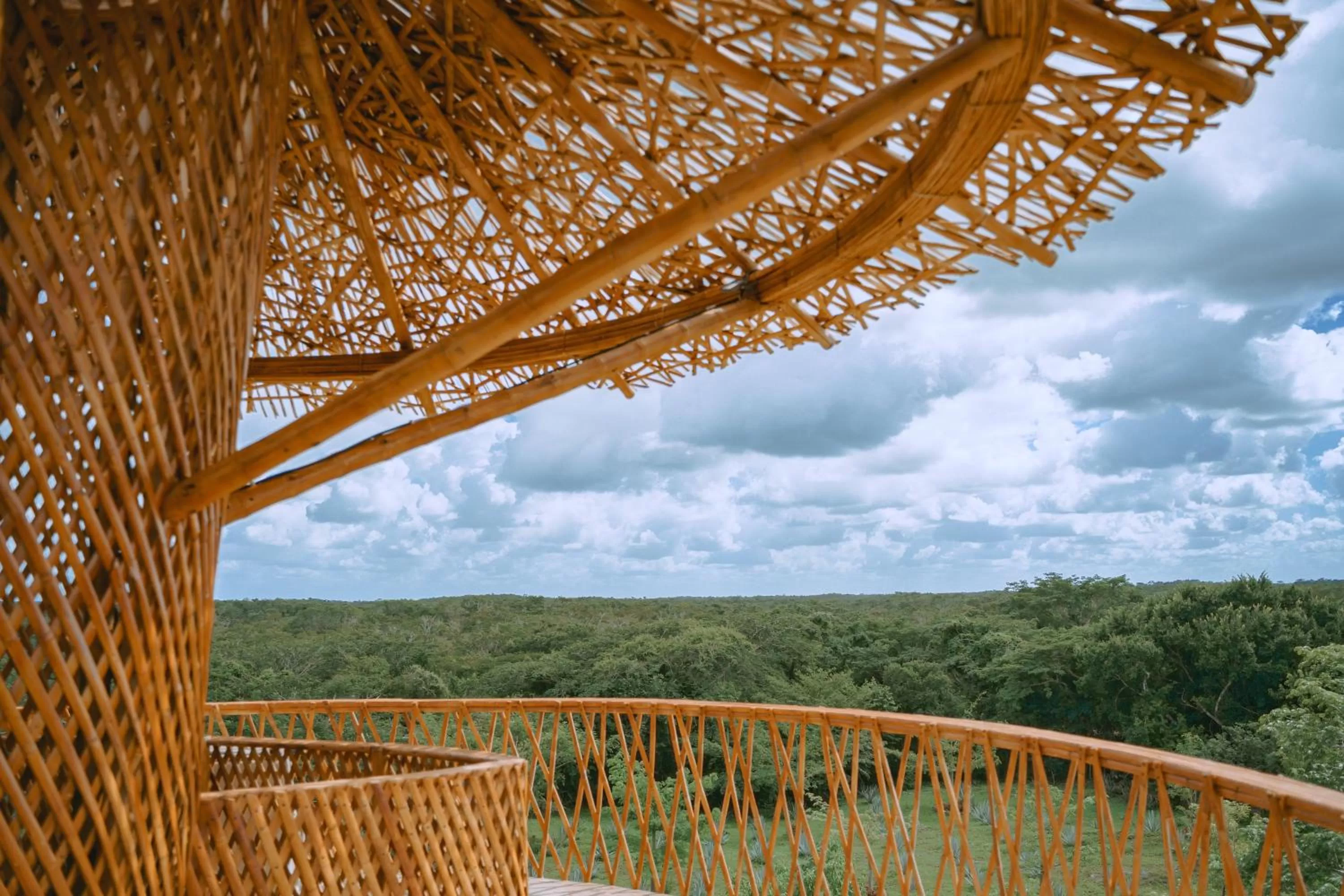 Natural landscape in Destino Mío Mayan Jungle Retreat