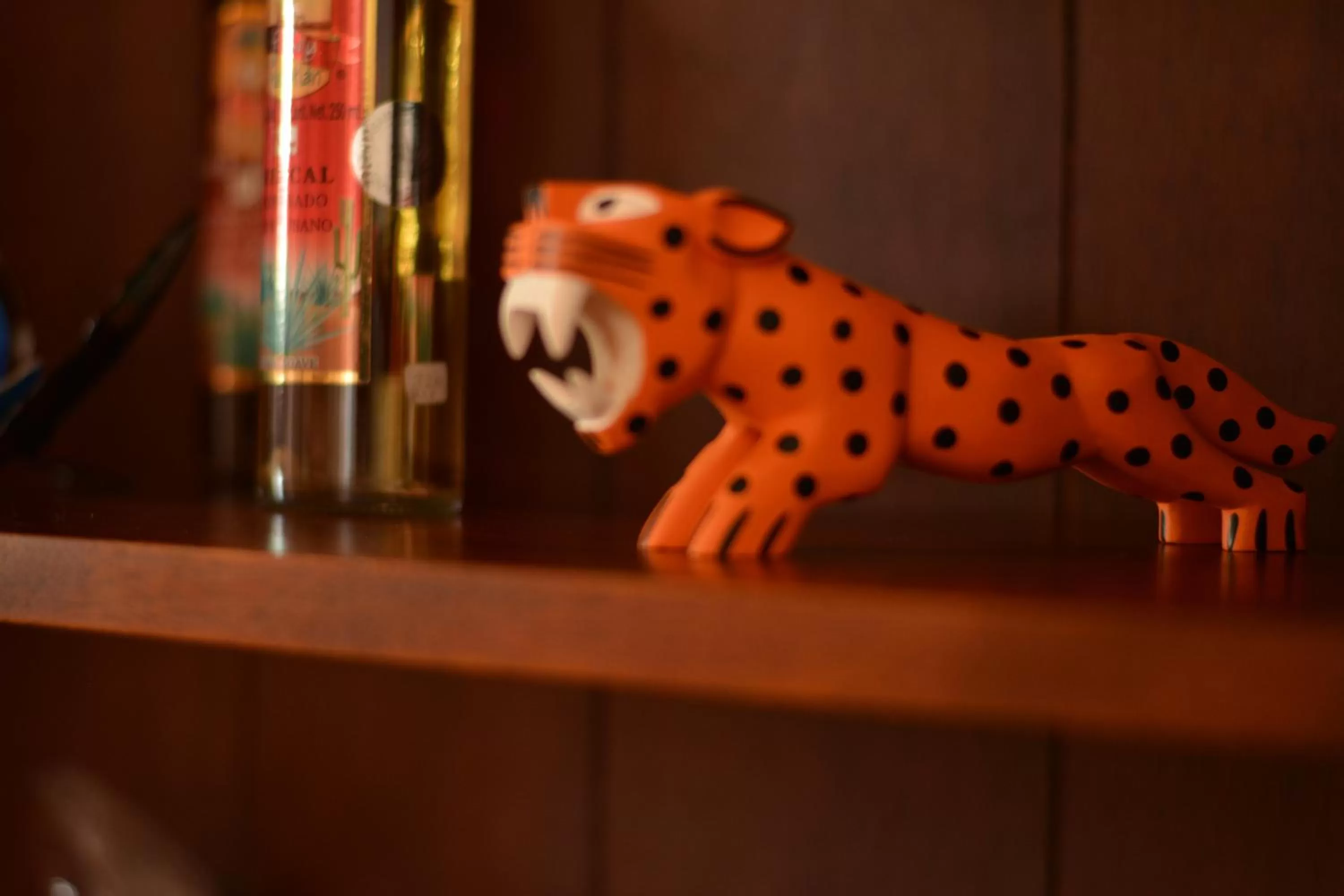 Area and facilities in Merida Santiago Hotel Boutique