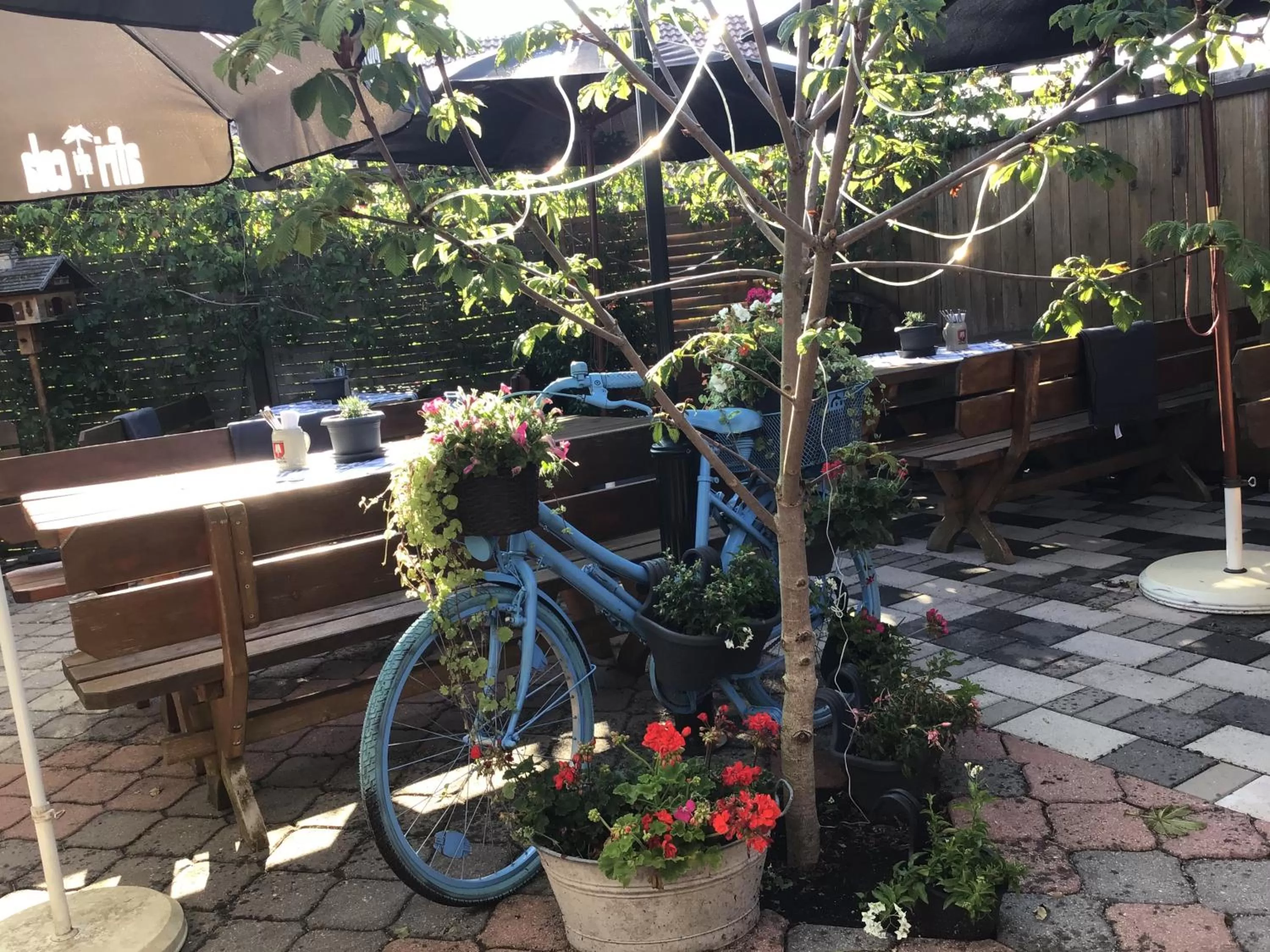 Restaurant/places to eat in Ehringer Hof