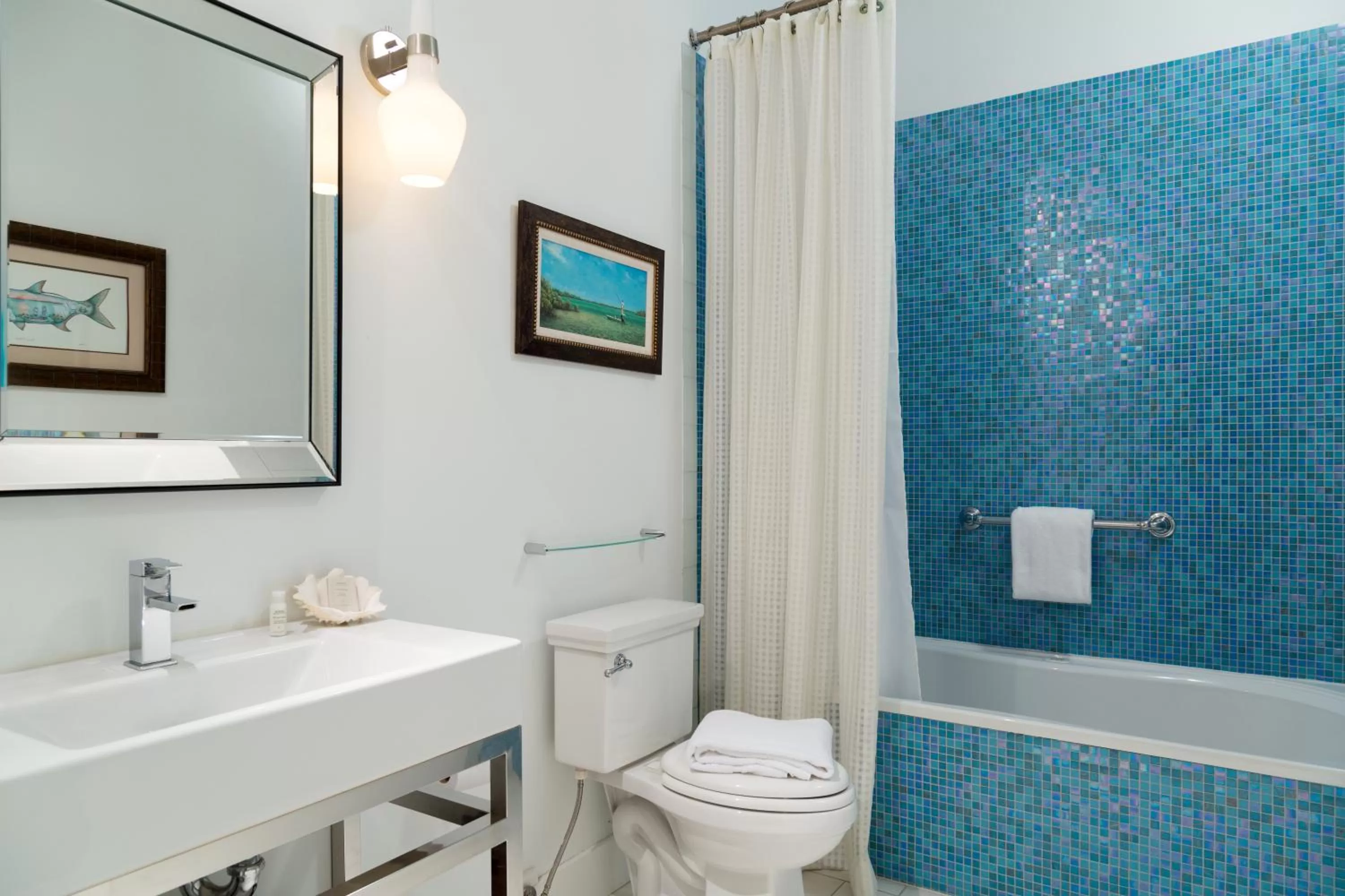 Shower in Black Dolphin Inn