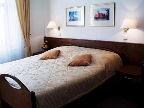 Bed in Hotel Restaurant Modrá Hvězda