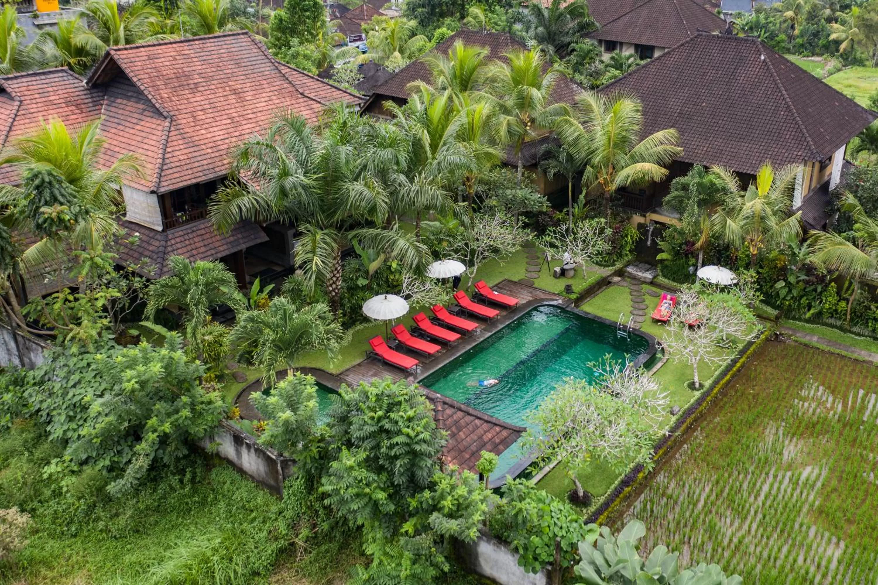 Swimming pool in Bliss Ubud Spa Resort