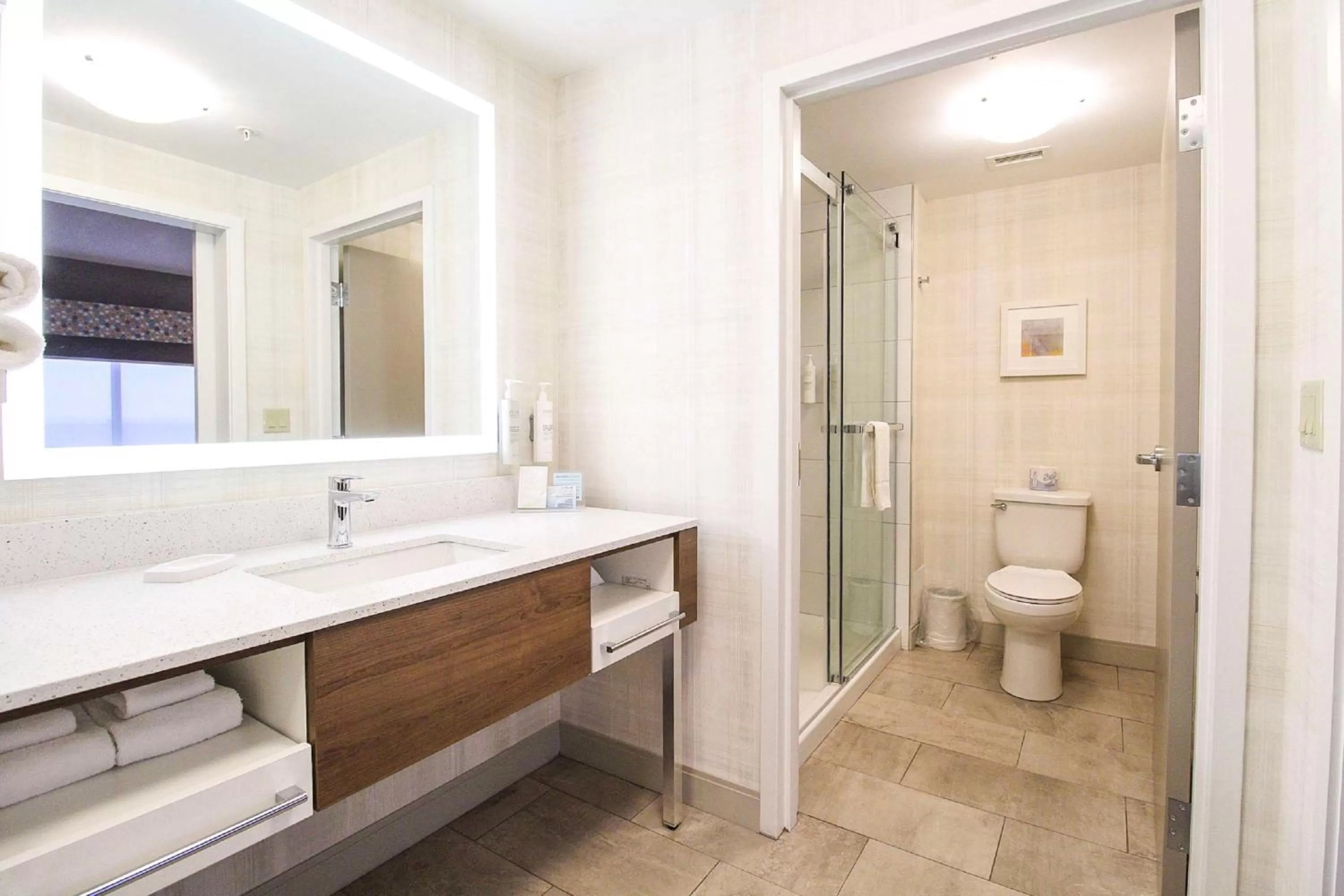 Bathroom in Hampton Inn Sydney