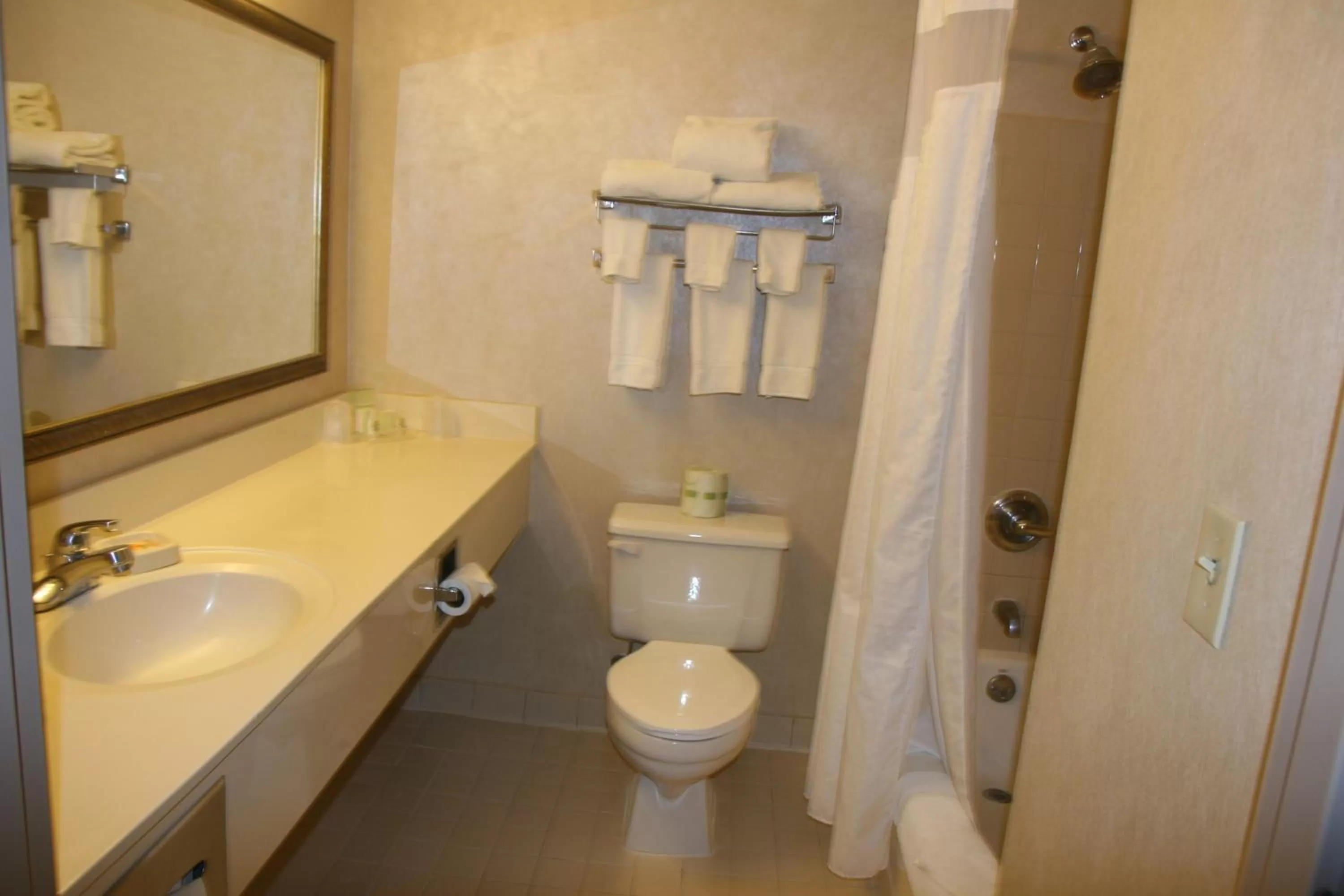 Bathroom in Holiday Inn Budd Lake - Rockaway Area by IHG