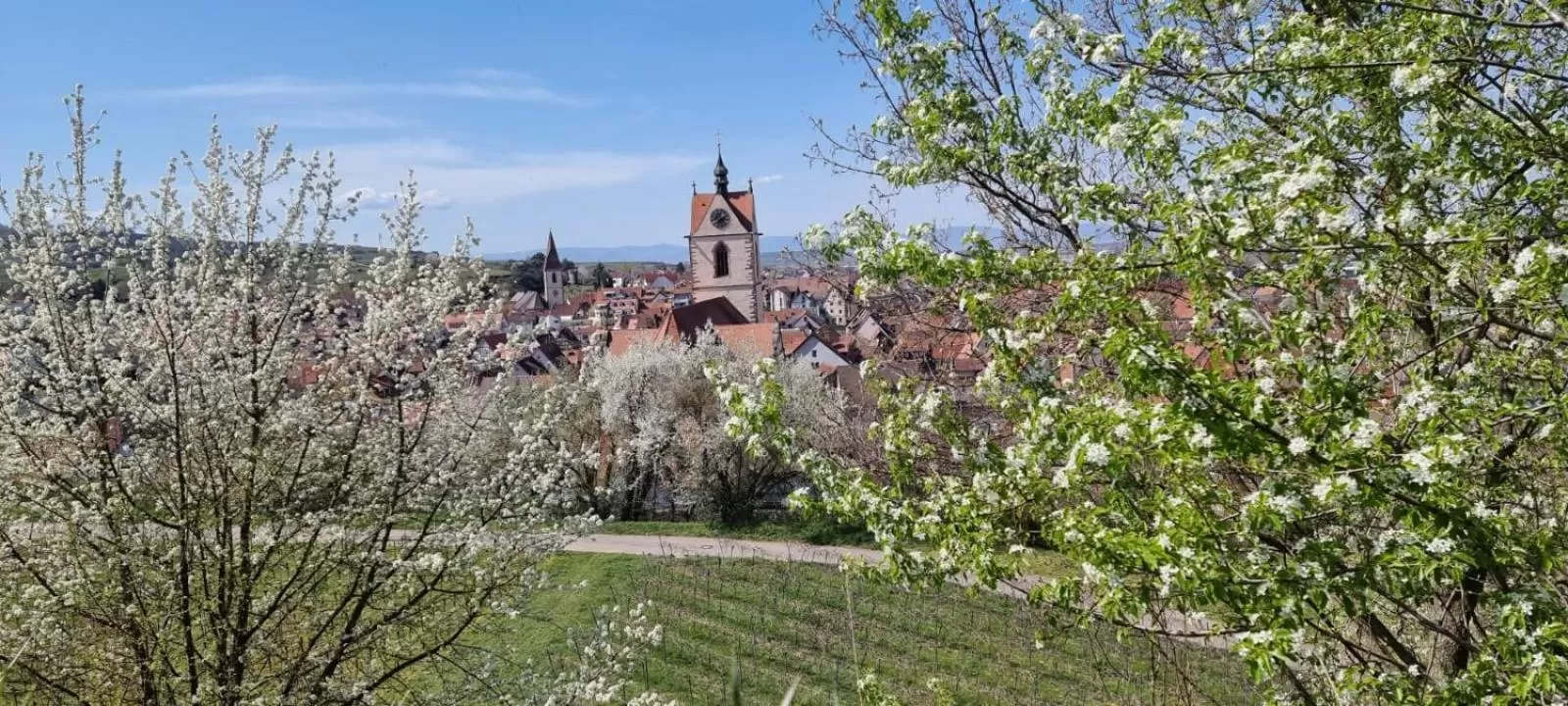 Nearby landmark in Hotel Engel