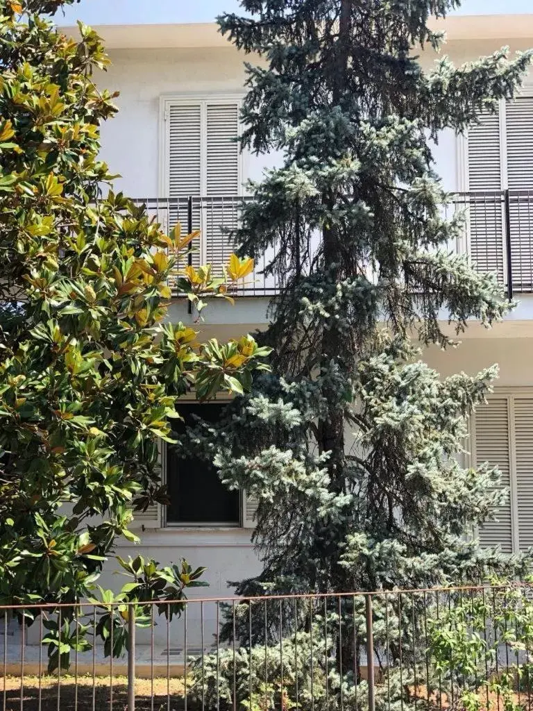 Double Room with Private Bathroom - single occupancy in B&B Amendola Double Room with Private Bathroom - single occupancy in B&B Amendola