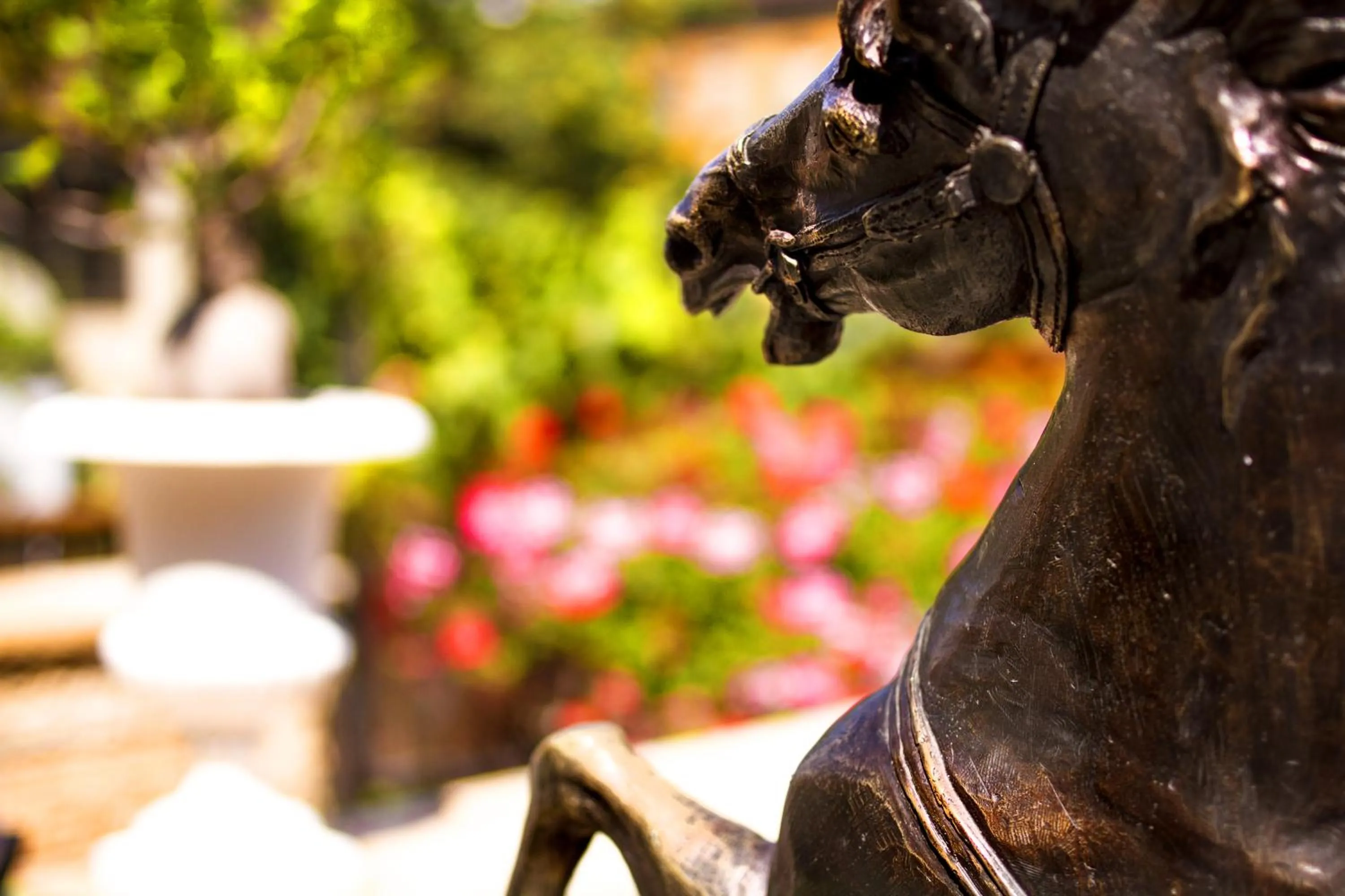 Garden view in Zur Weinsteige