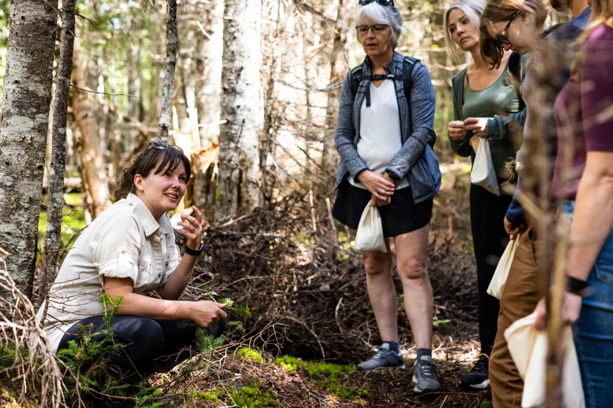 Upper Humber Settlement a FarmStay B&B