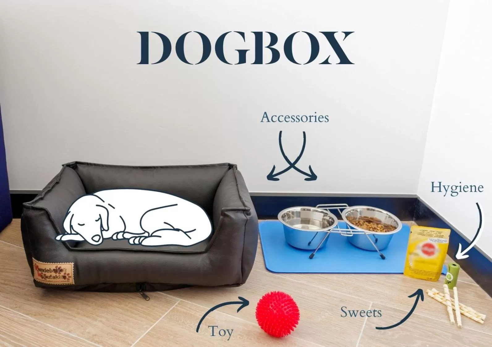 Animals in Golden Tulip CDG Airport Roissy