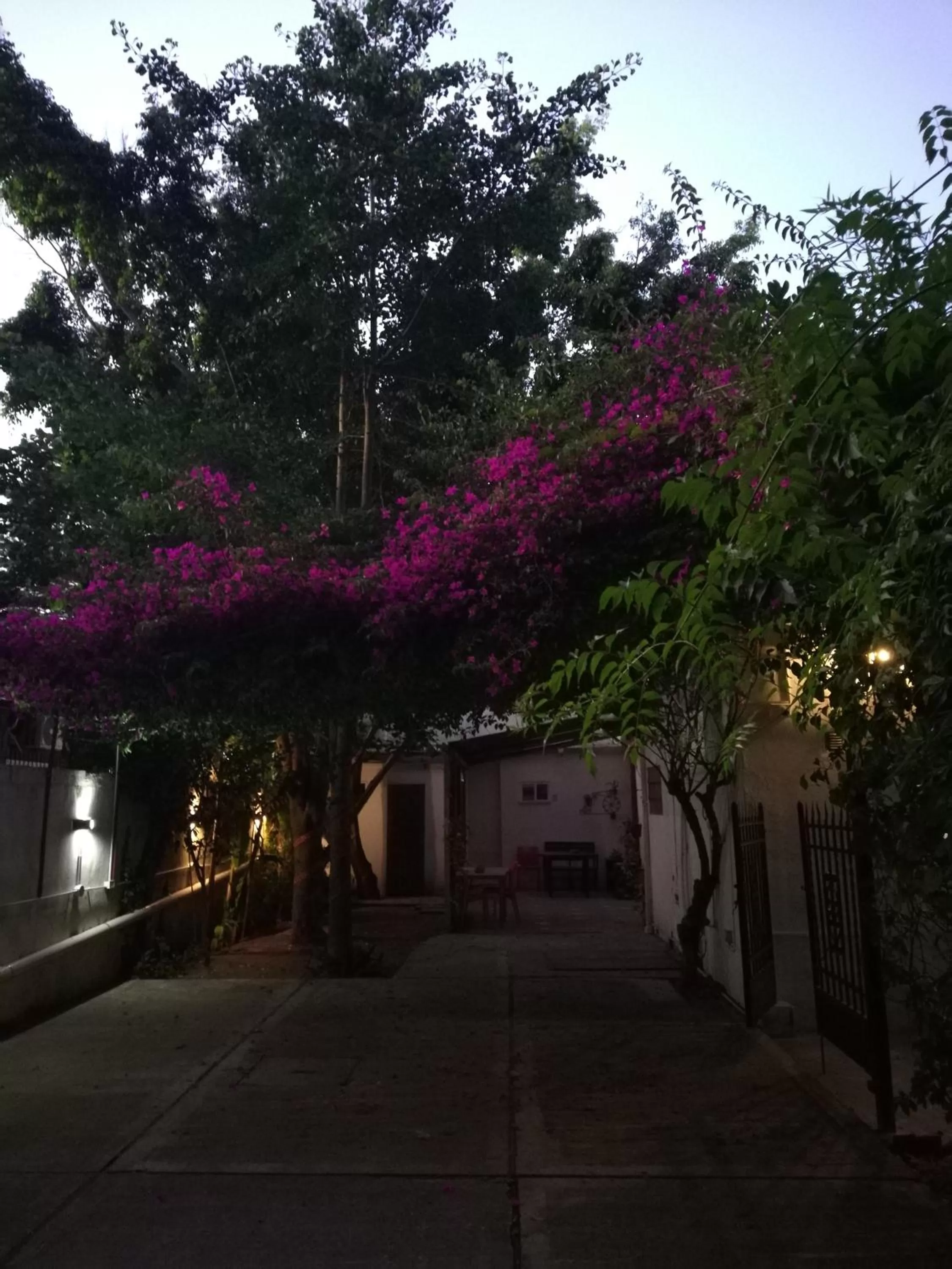 Garden in HOTEL Boutique Casablanca Adrogué