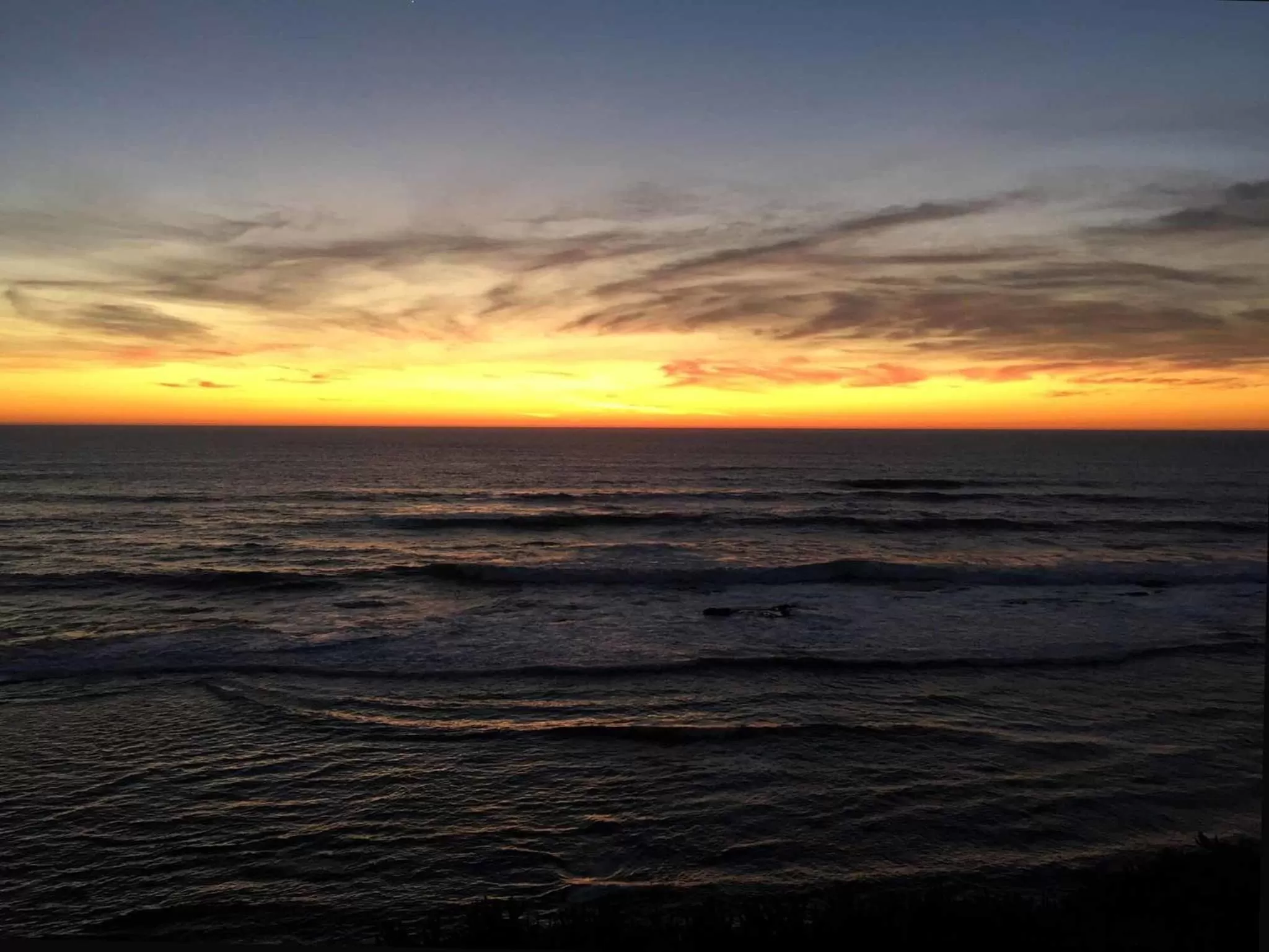 Area and facilities in Seal Cove Inn