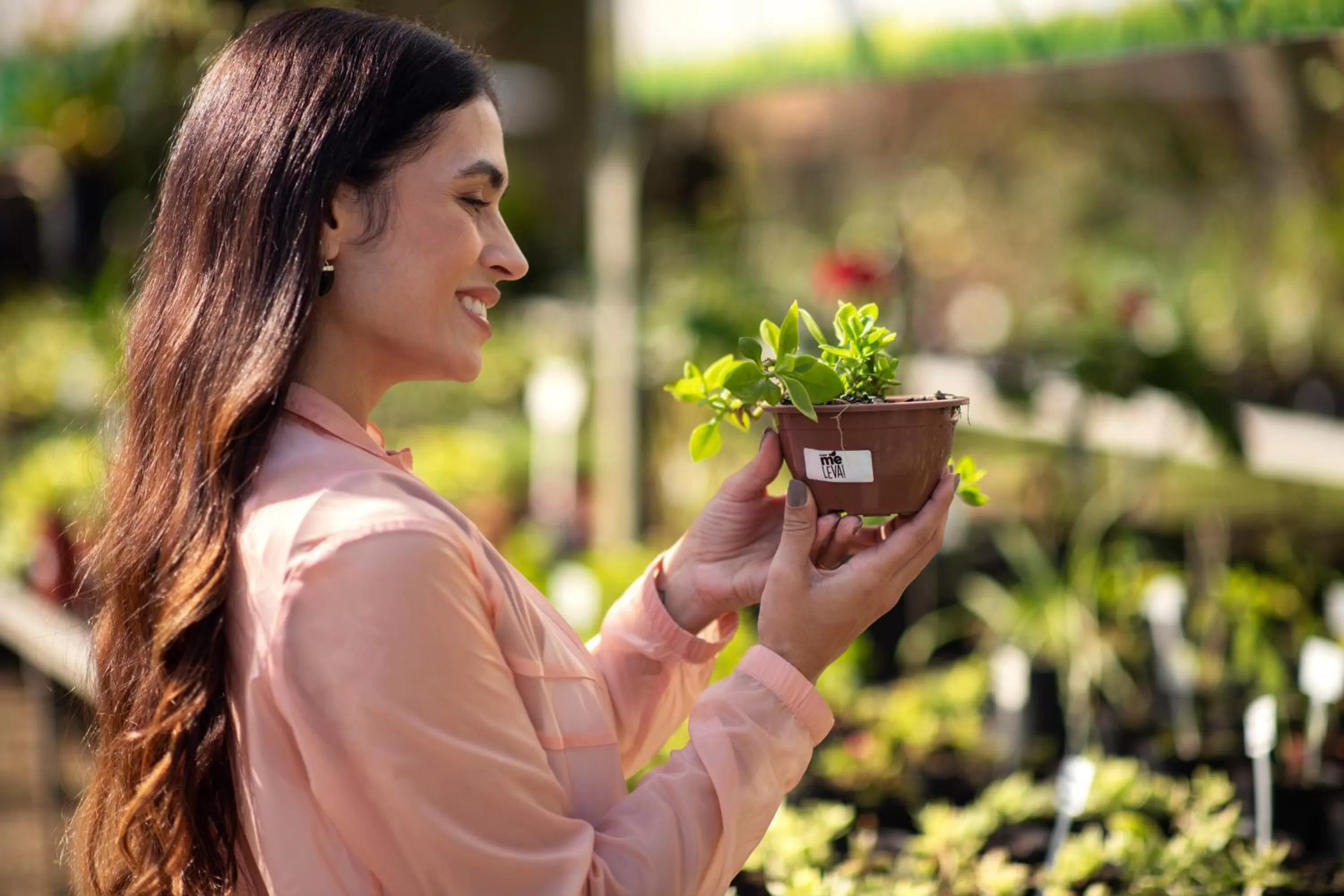 Garden in Hotel Villa Rossa