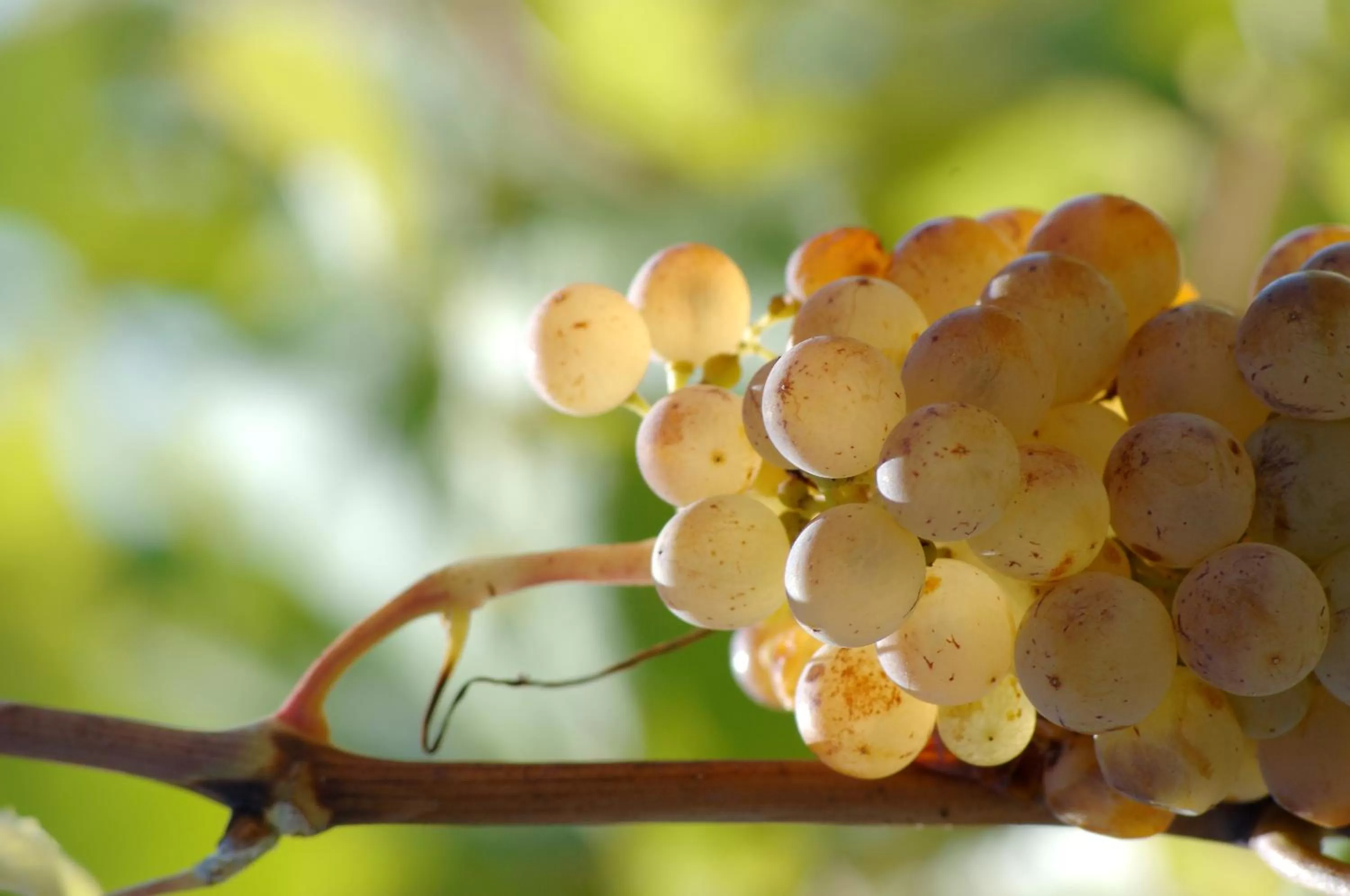 Other in Tropic Hôtel