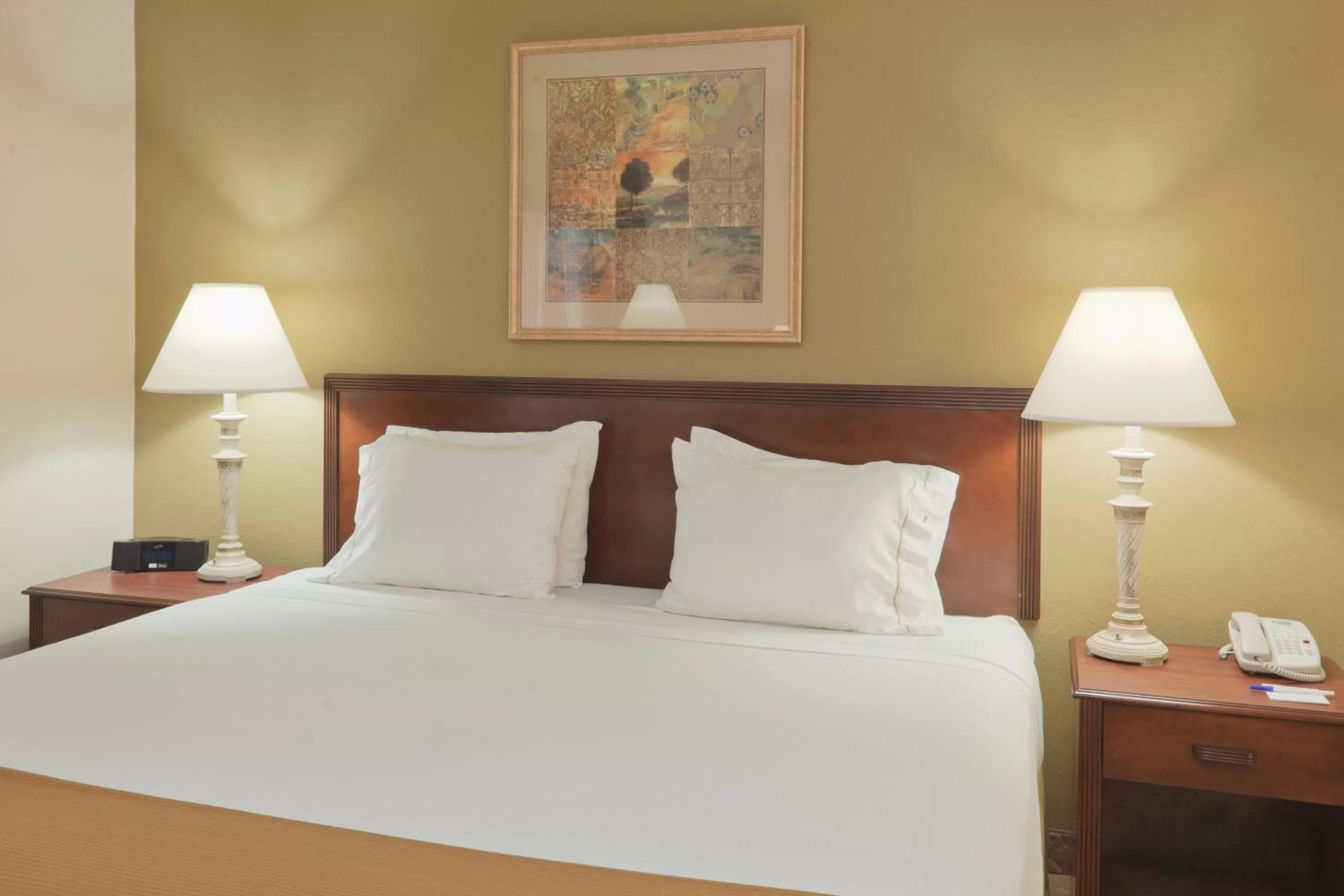 Photo of the whole room, Bed in Holiday Inn Express Evansville - West by IHG