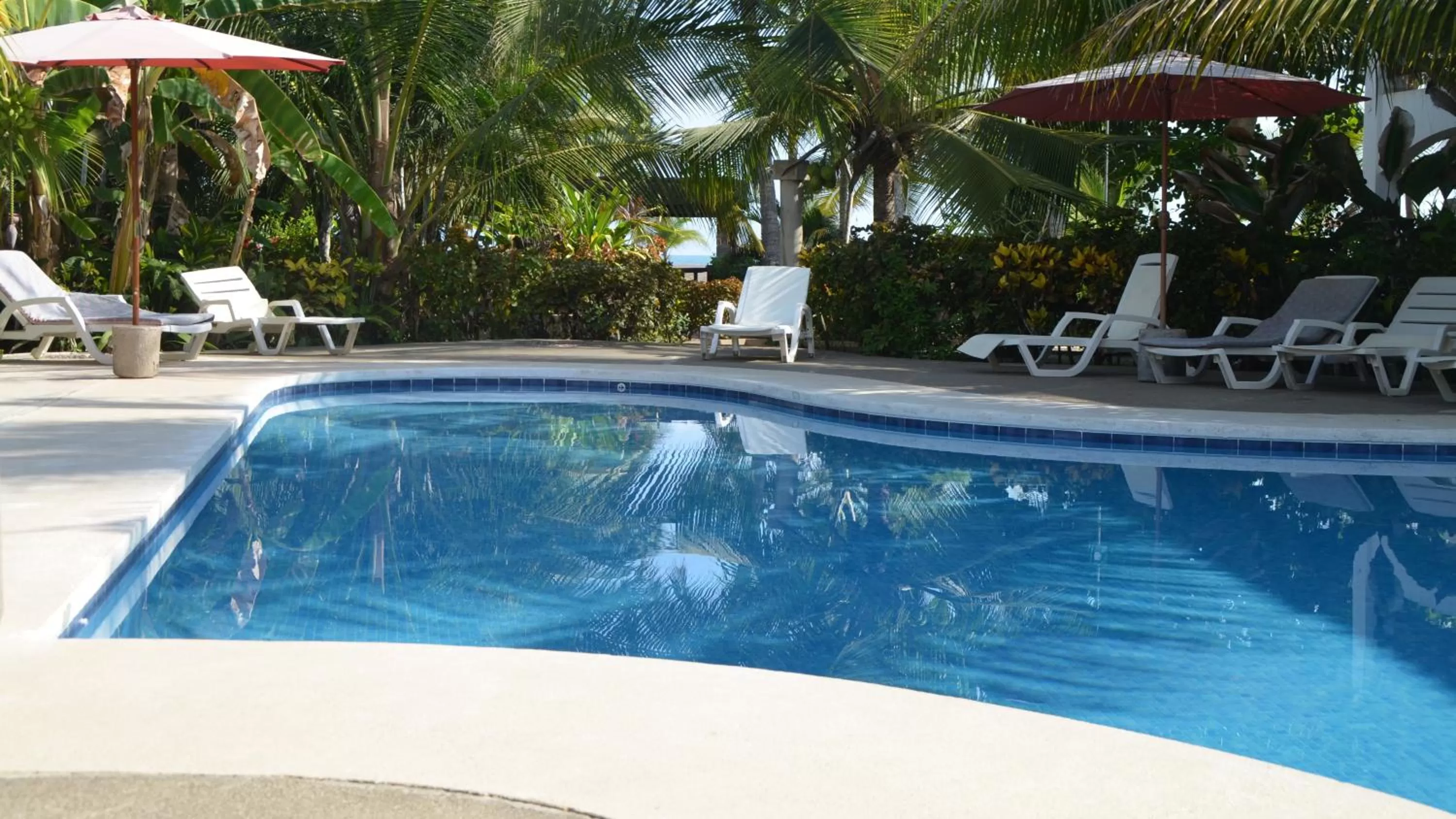 Day in Hotel Pochote Grande