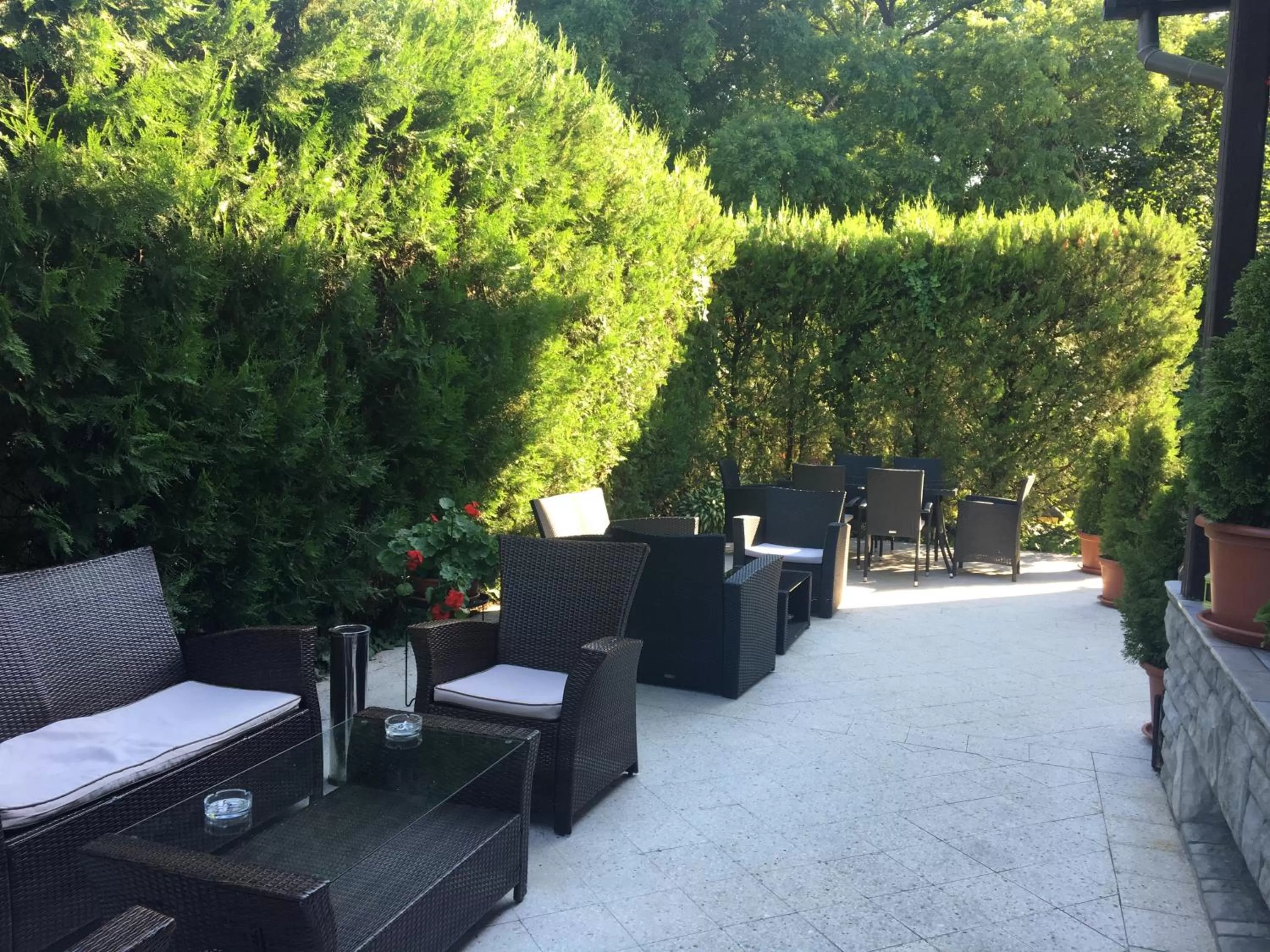 Area and facilities in Muskátli Panzió