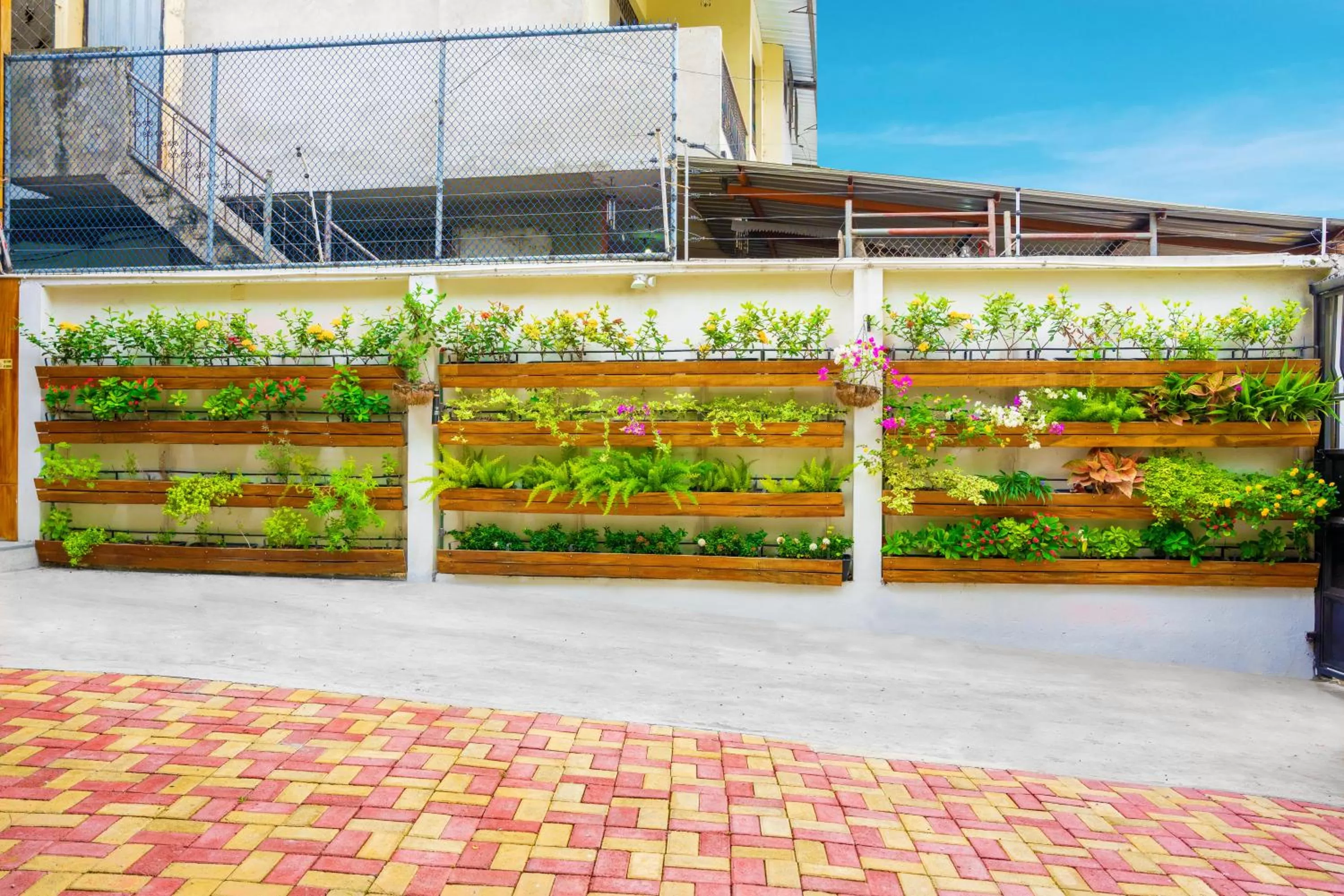 Garden in Hotel Boutique Platanal