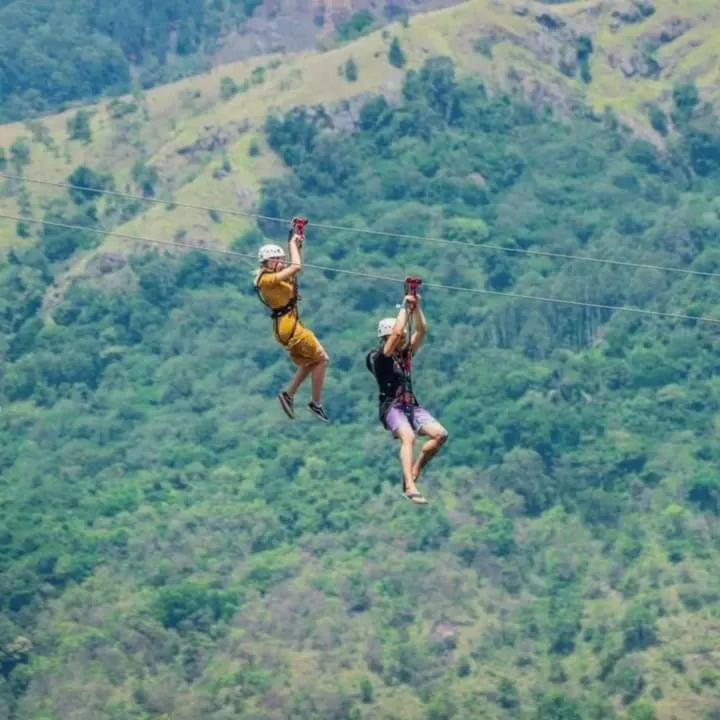 Ella Lucky Panoramic