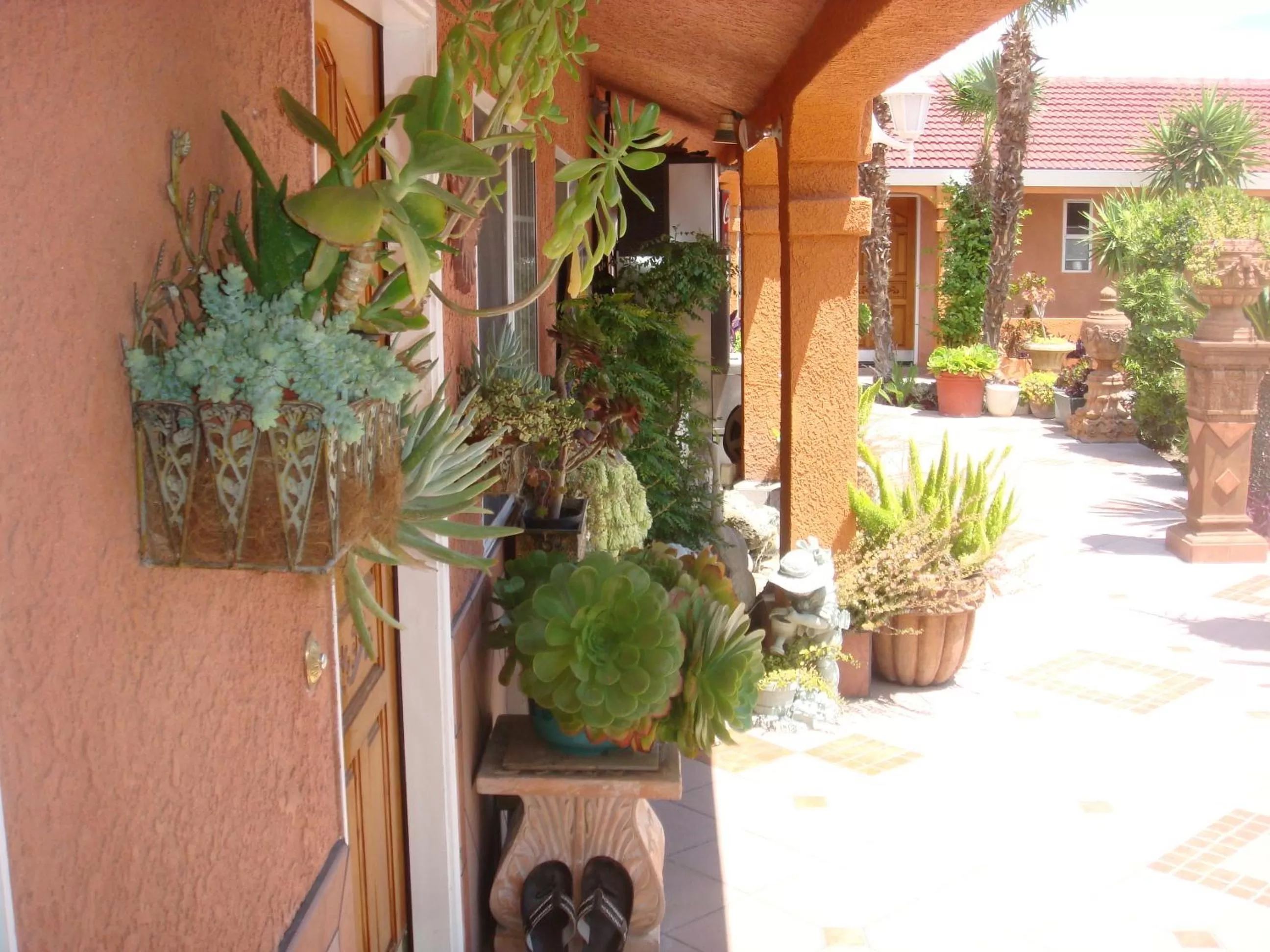 Garden in Economy Inn Los Banos