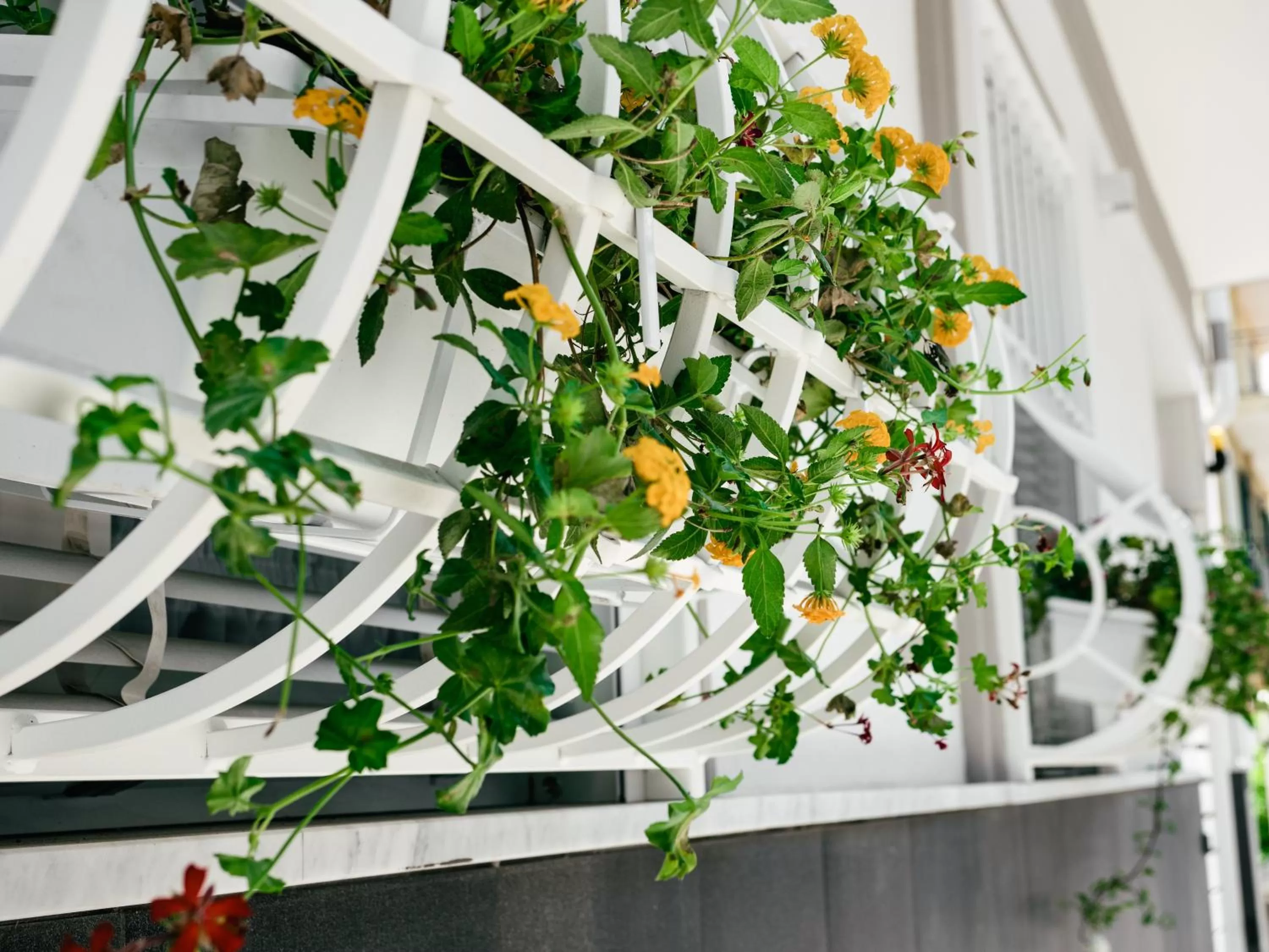 Property building in Sweet Country Home - Casa LuMePa