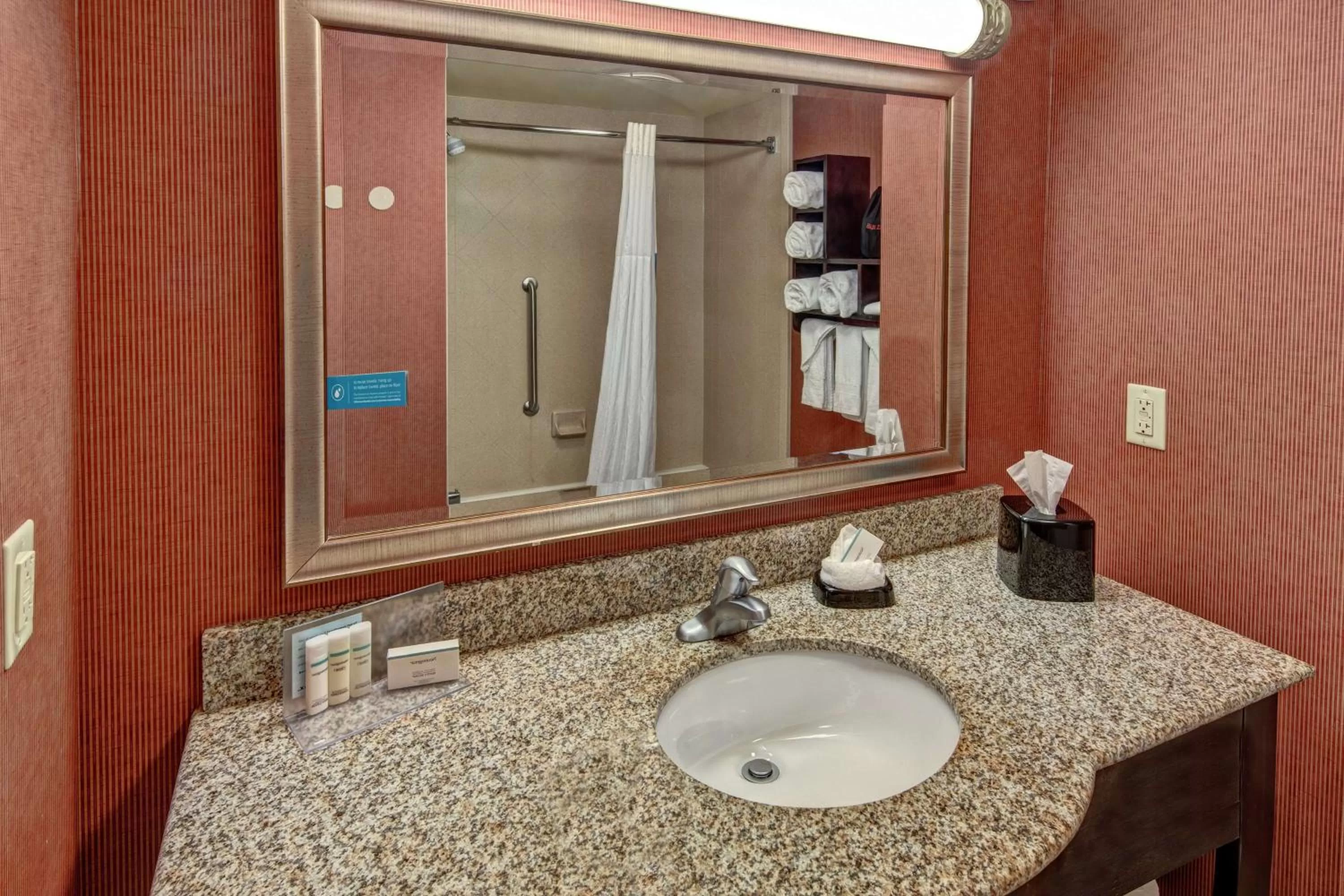 Bathroom in Hampton Inn Jacksonville
