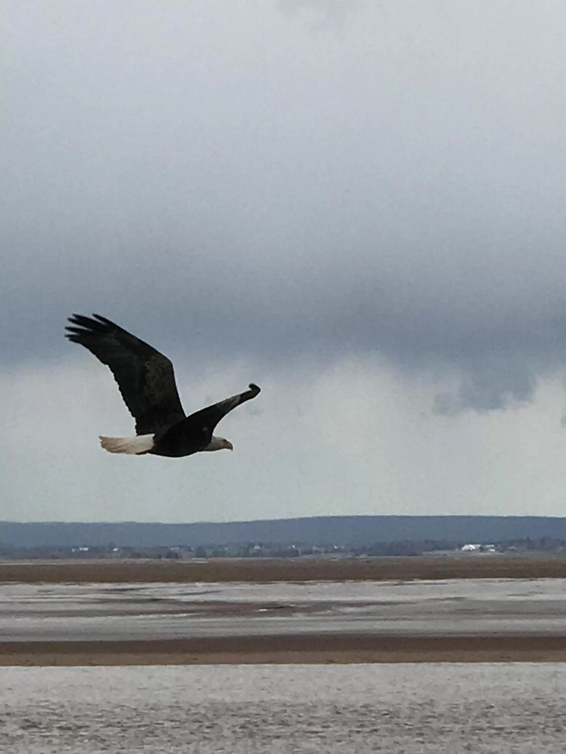 Natural landscape in Cresthaven By the Sea