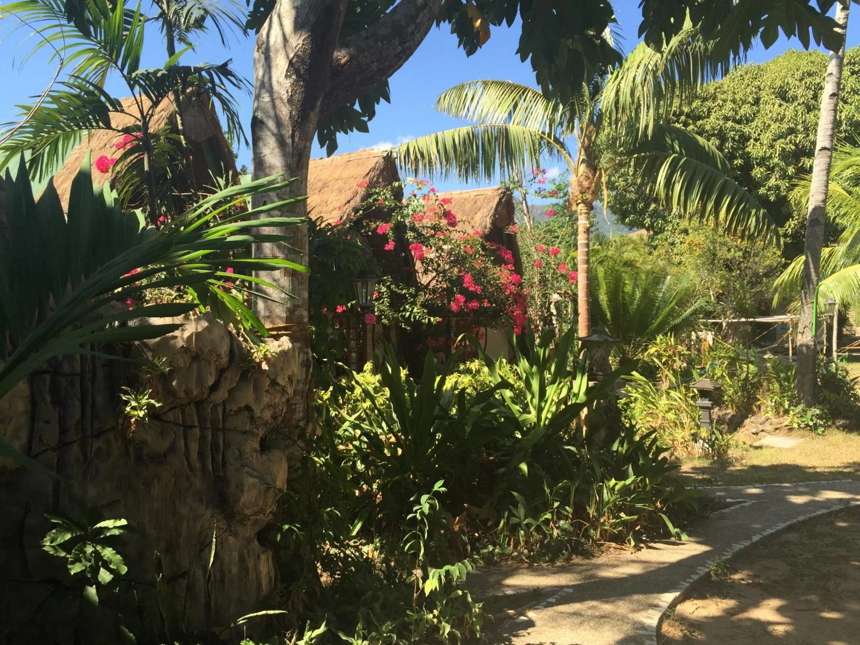 Natural landscape in Kokosnuss Garden Resort