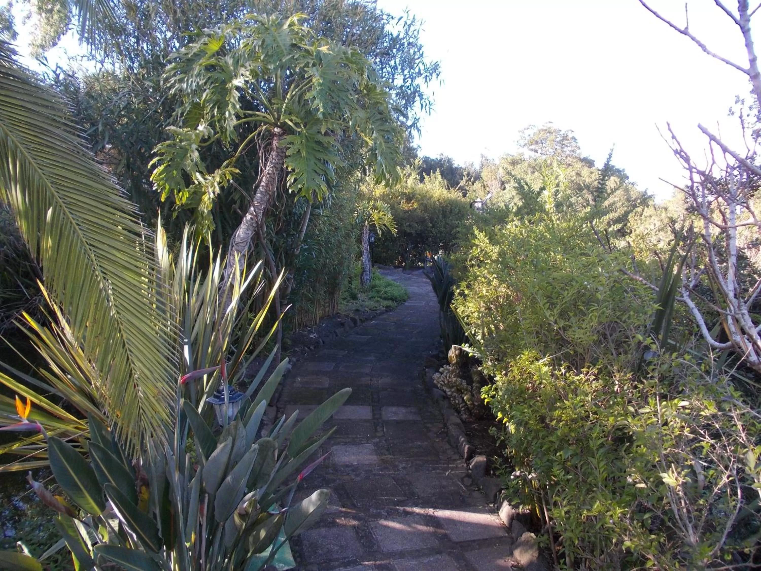 Garden in Hotel La Palma Romántica