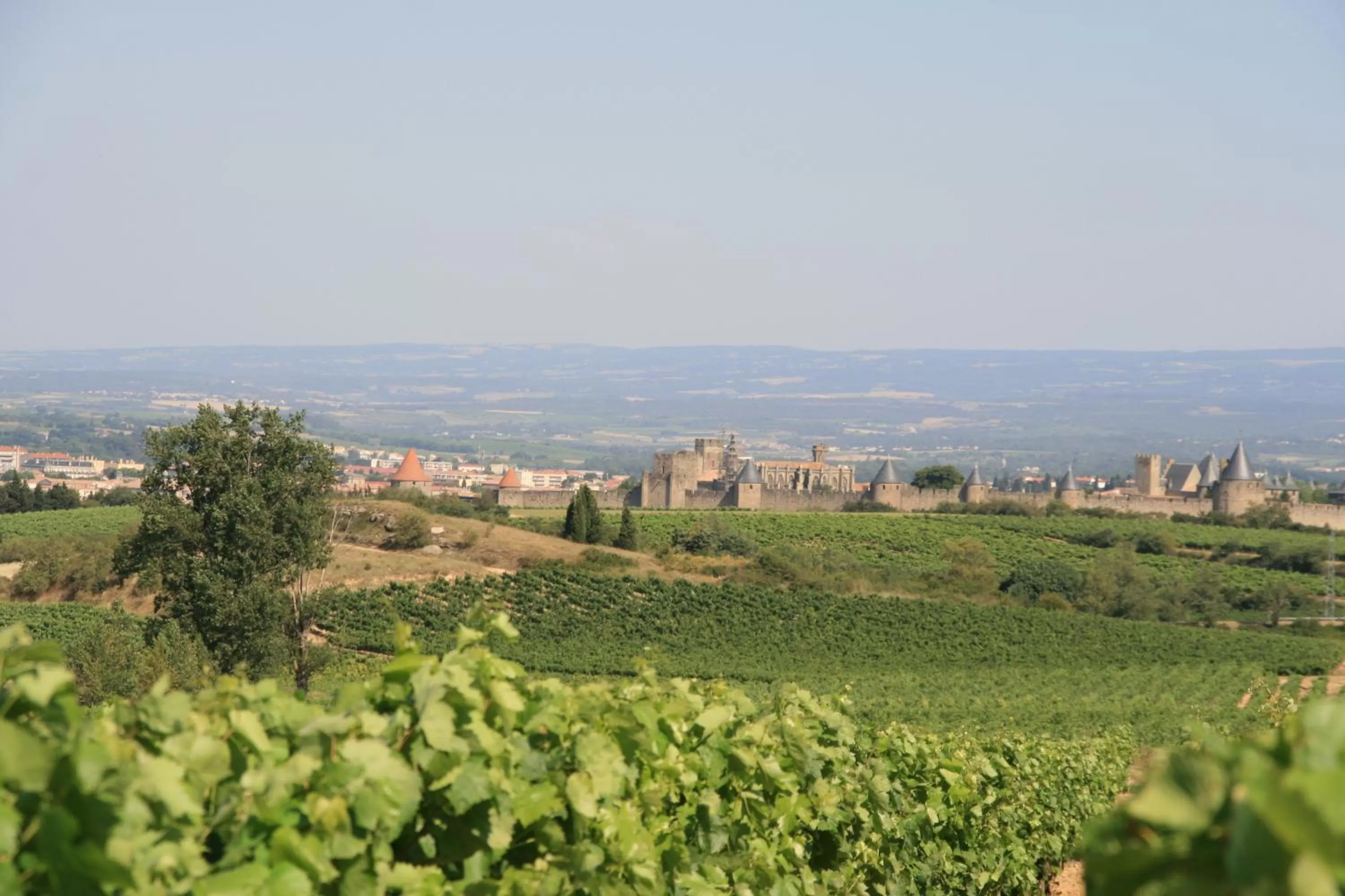 Area and facilities in La Maison sur la Colline