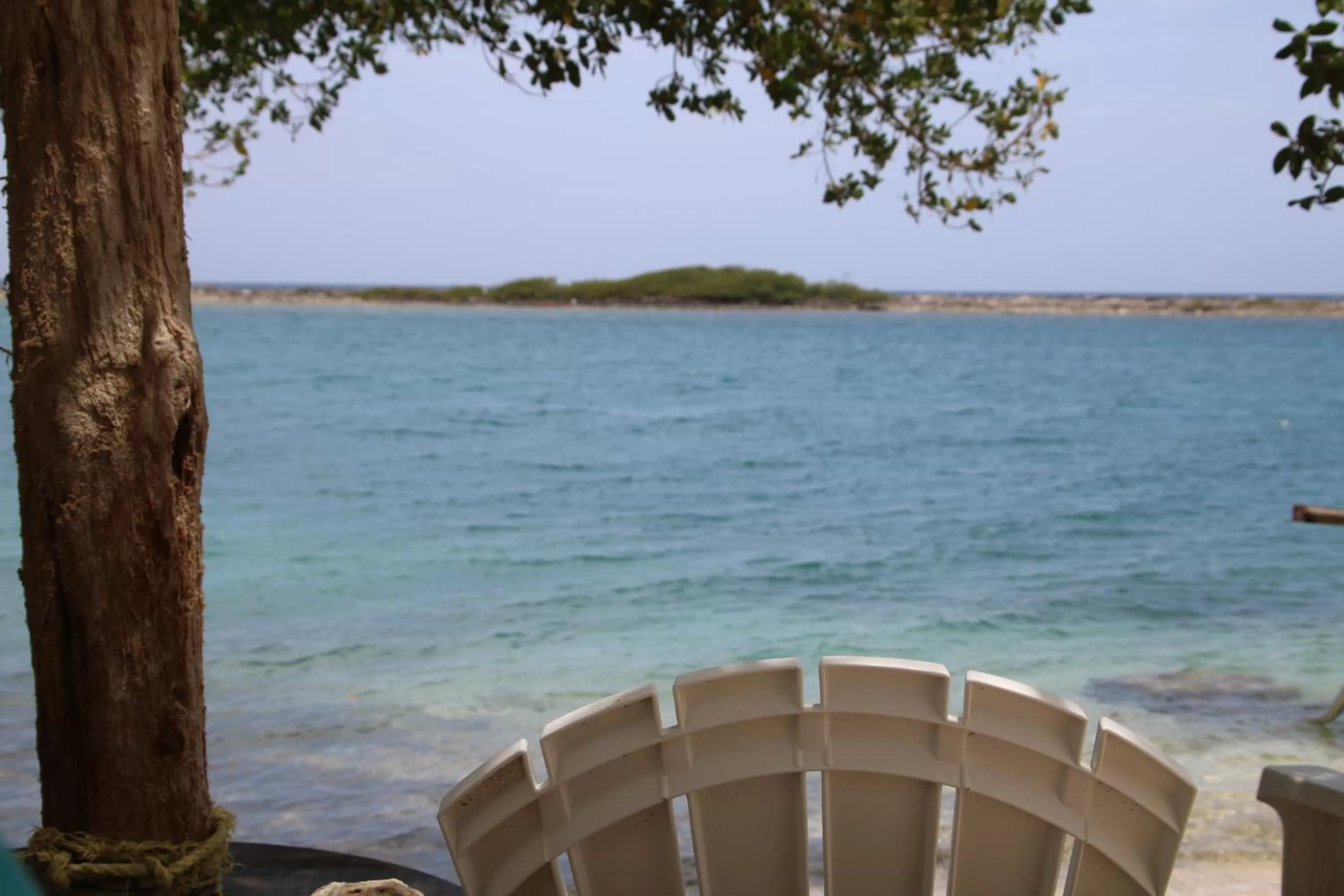 Sea view in Coral Reef Beach