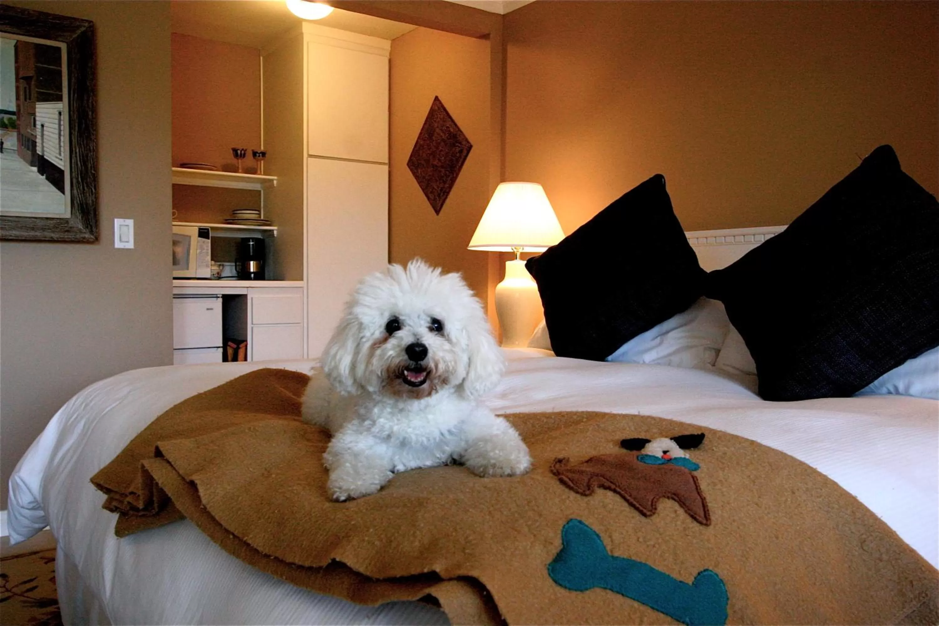 Bed in The Tides Laguna Beach